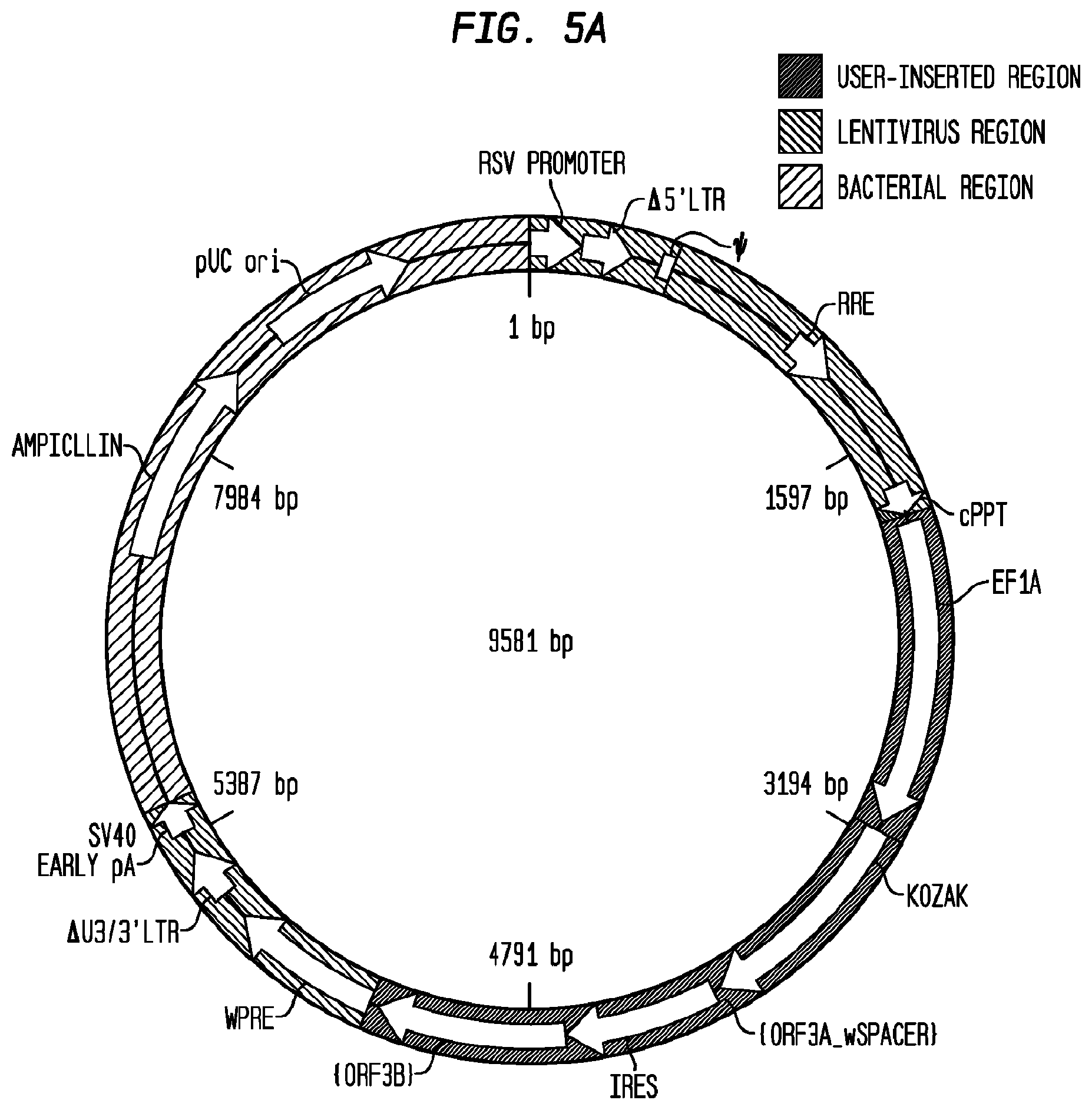 Patent US12403186 Figure 13 – Allogeneic tumor cell vaccine