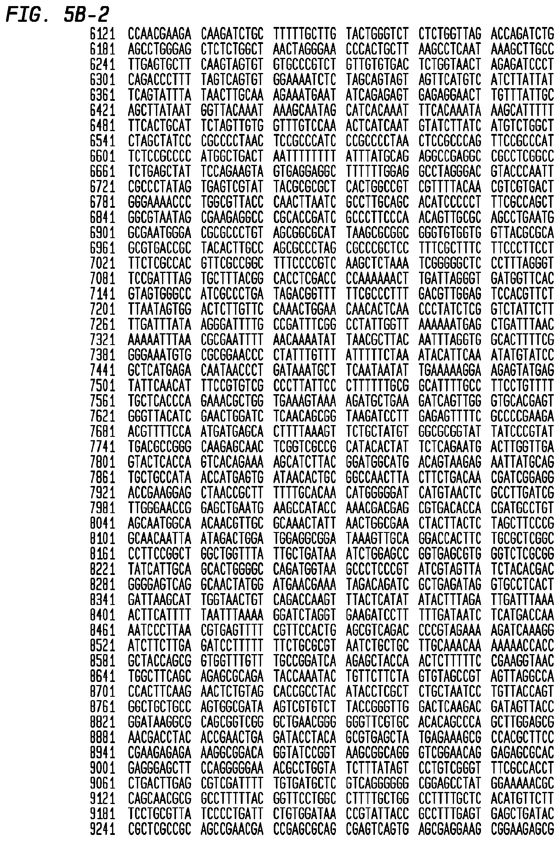 Patent US12403186 Figure 16 – Allogeneic tumor cell vaccine