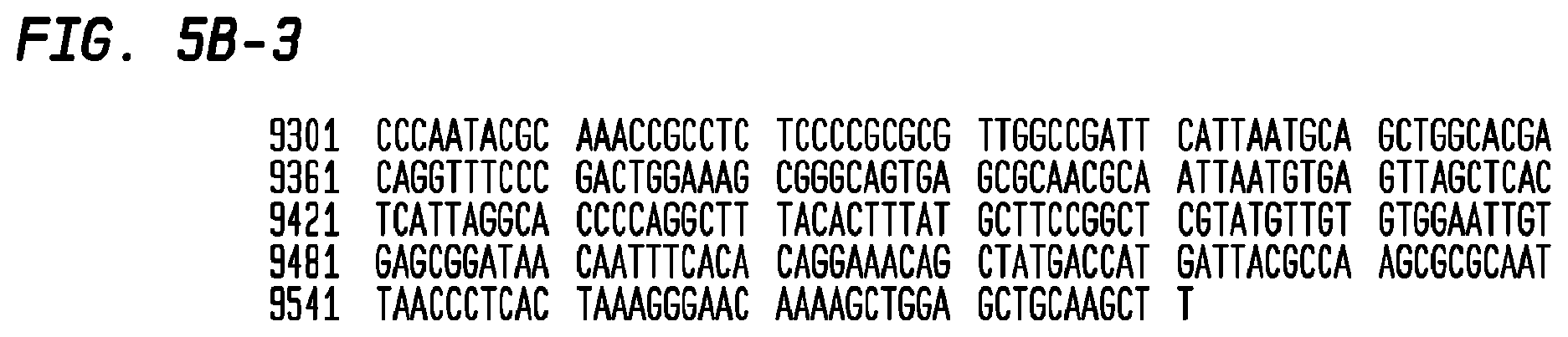 Patent US12403186 Figure 17 – Allogeneic tumor cell vaccine