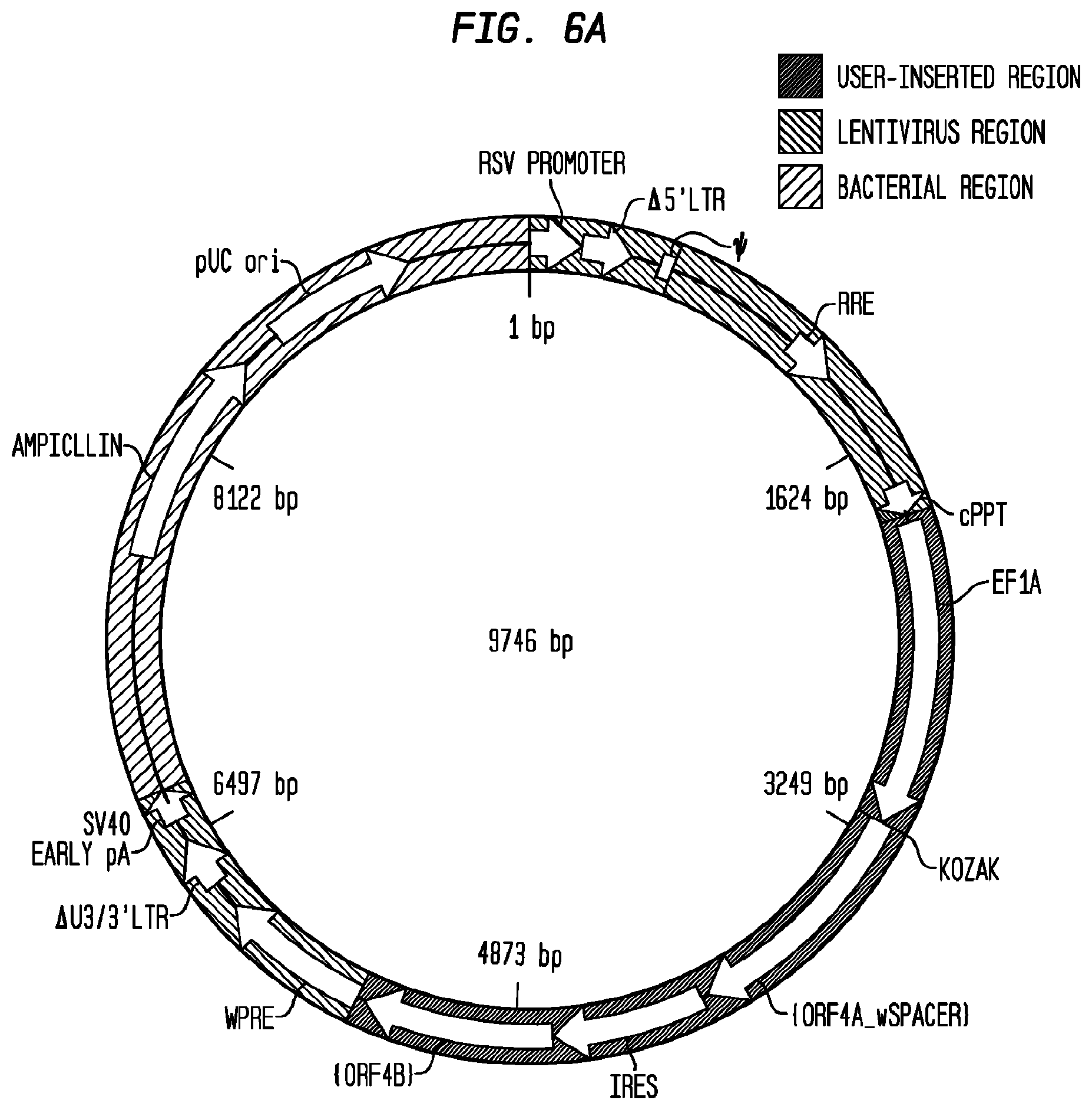 Patent US12403186 Figure 18 – Allogeneic tumor cell vaccine