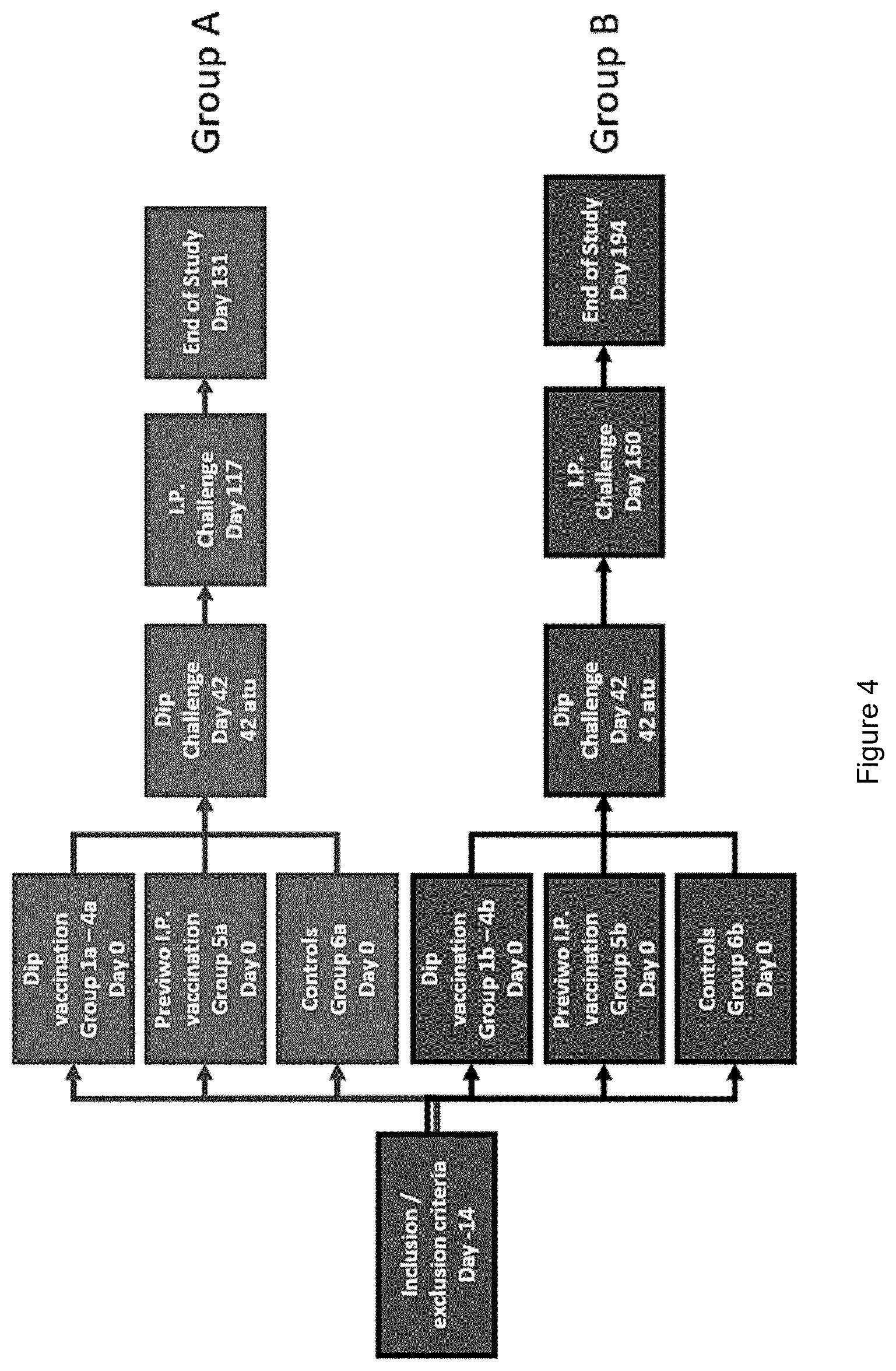 Patent US12403187 Figure 3 – Bacterial vaccine