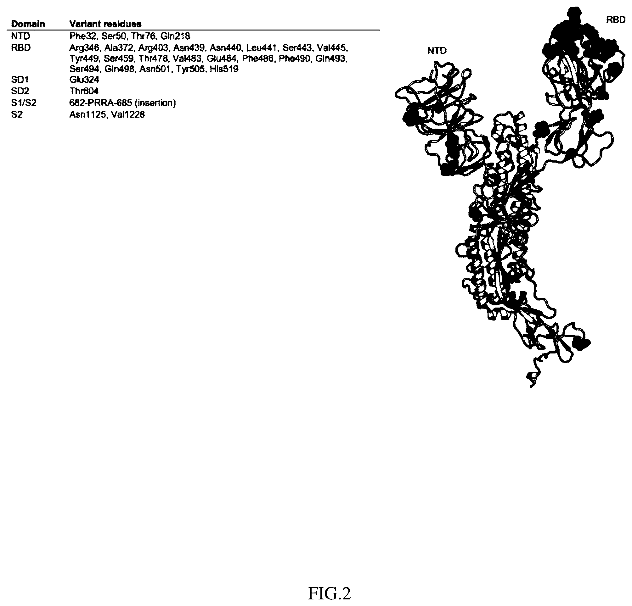 Patent US12403190 Figure 2 – Coronavirus vaccine and methods of use thereof