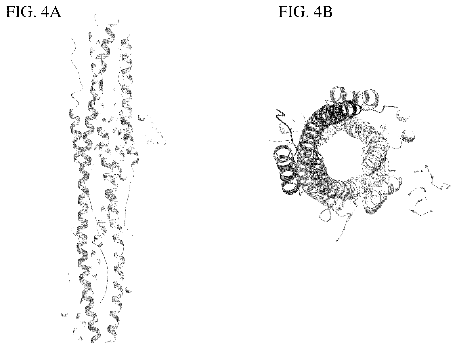 Patent US12403190 Figure 4 – Coronavirus vaccine and methods of use thereof