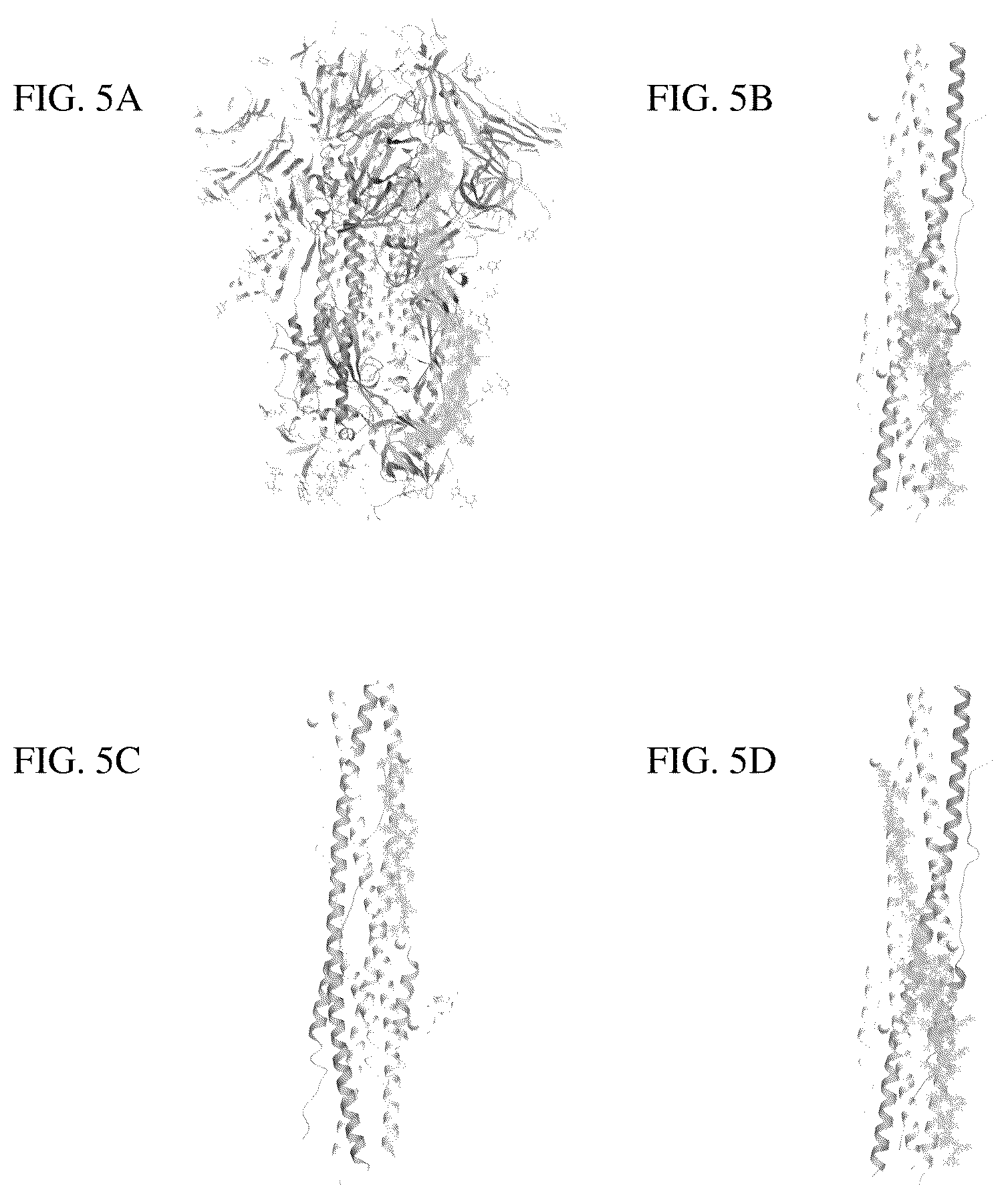 Patent US12403190 Figure 5 – Coronavirus vaccine and methods of use thereof