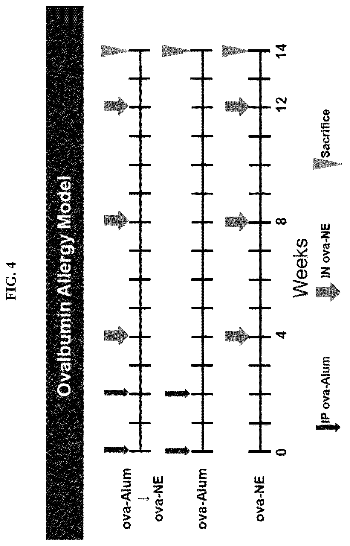 Patent US12403192 Figure 4 – Nanoemulsion compositions for preventing, suppressing or eliminating allergic and inflammatory disease