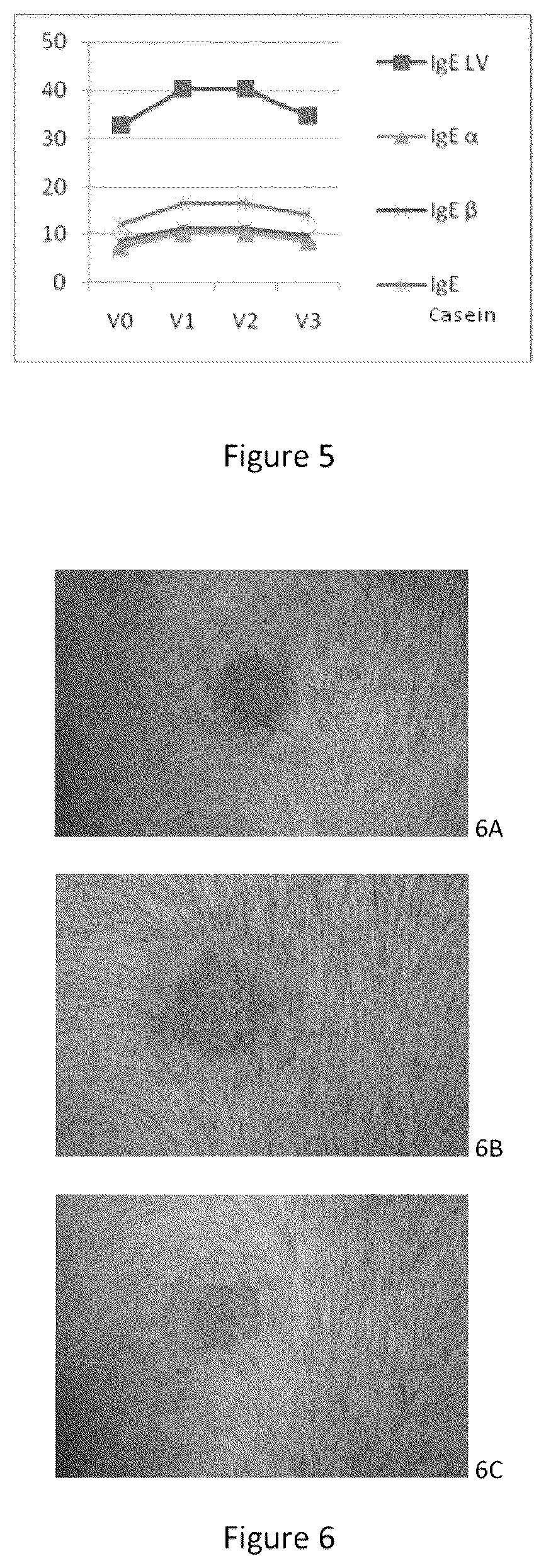 Patent US12403193 Figure 3 – Allergen desensitization method