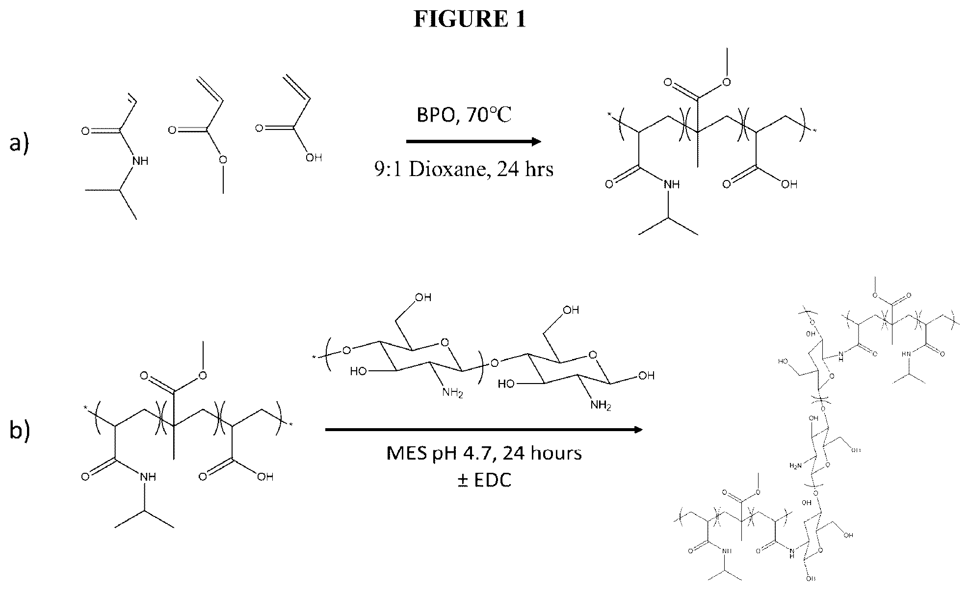 Patent US12403197 Figure 1 – Polymer system for ophthalmic drug delivery