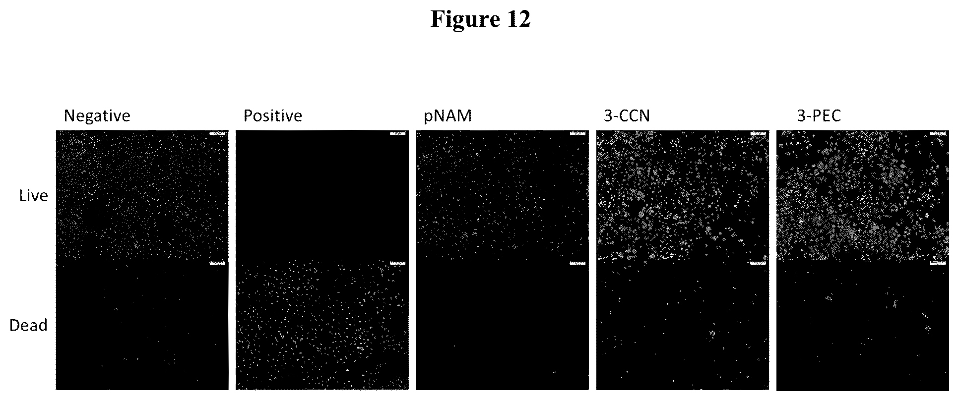 Patent US12403197 Figure 12 – Polymer system for ophthalmic drug delivery