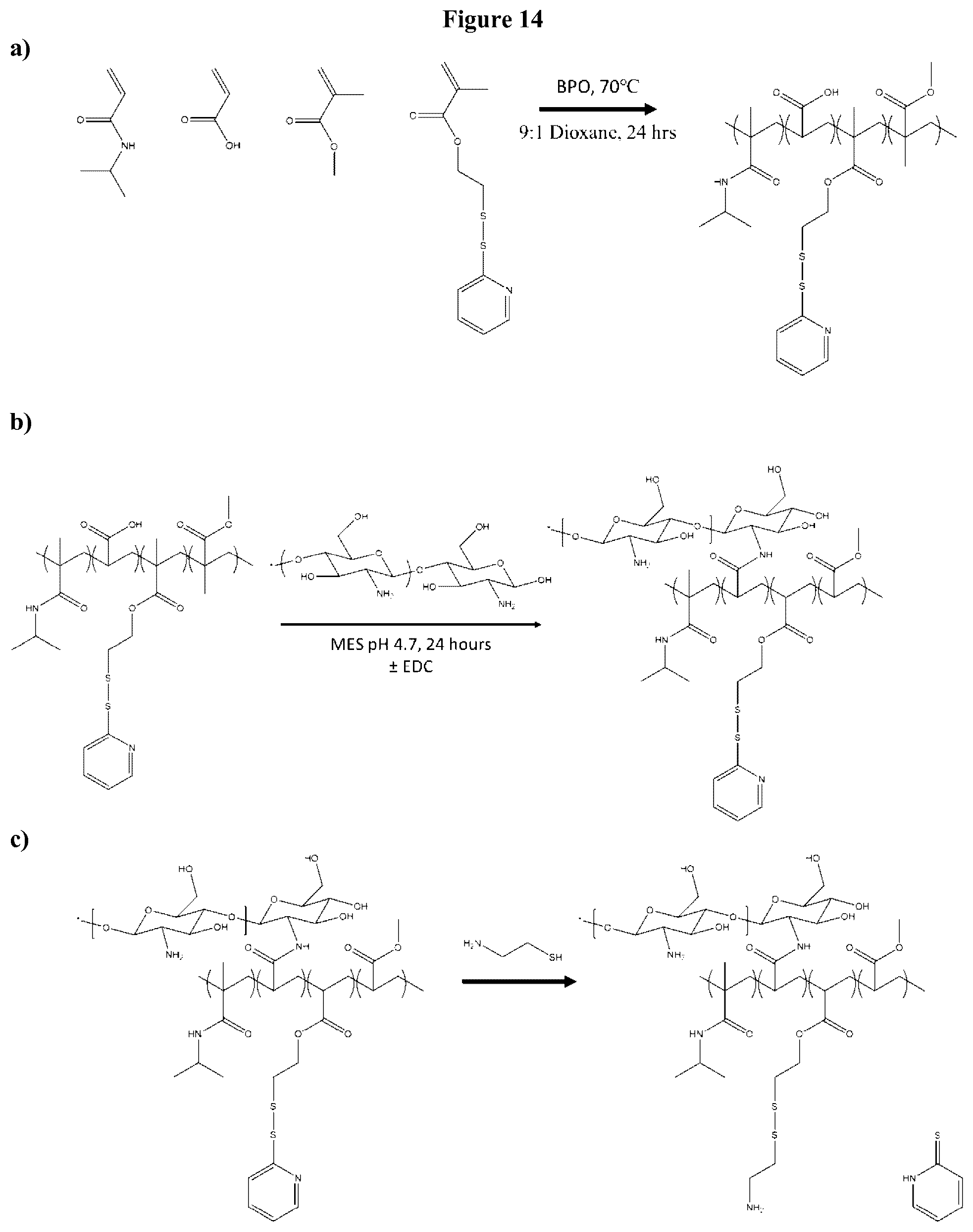 Patent US12403197 Figure 14 – Polymer system for ophthalmic drug delivery