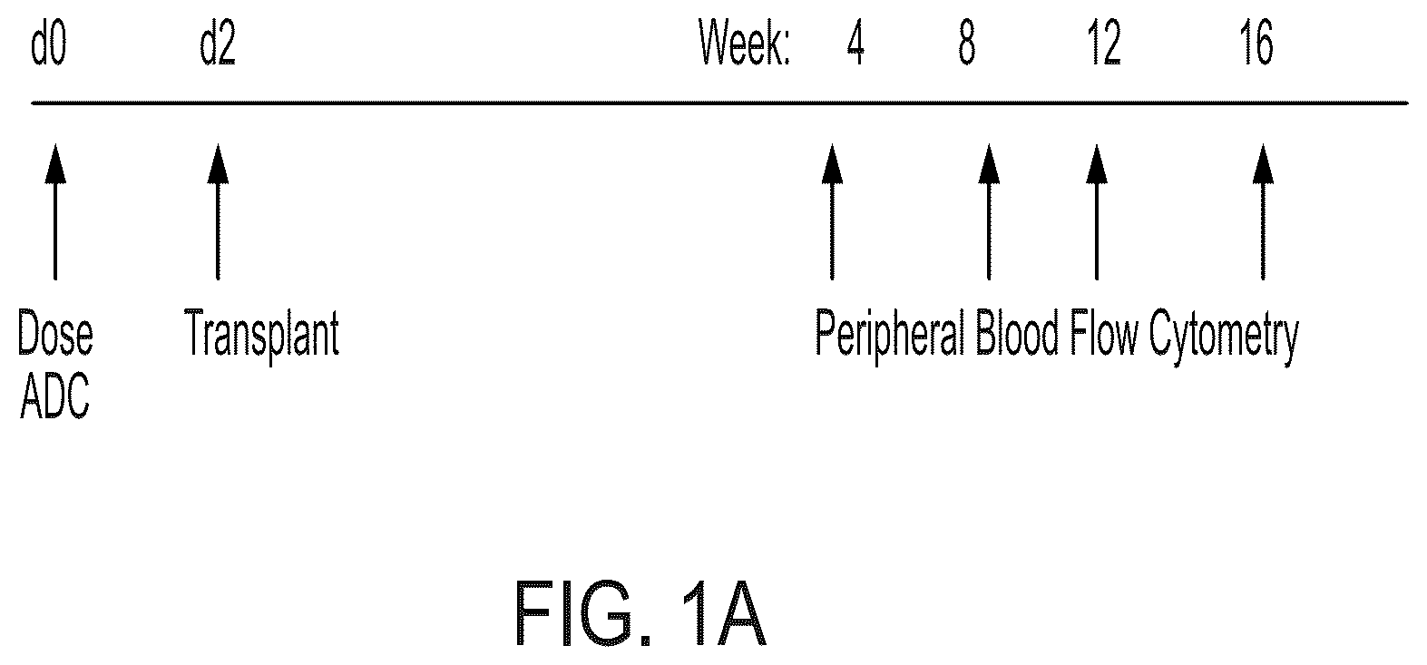 Patent US12403200 Figure 1 – Methods and compositions for treating autoimmune diseases