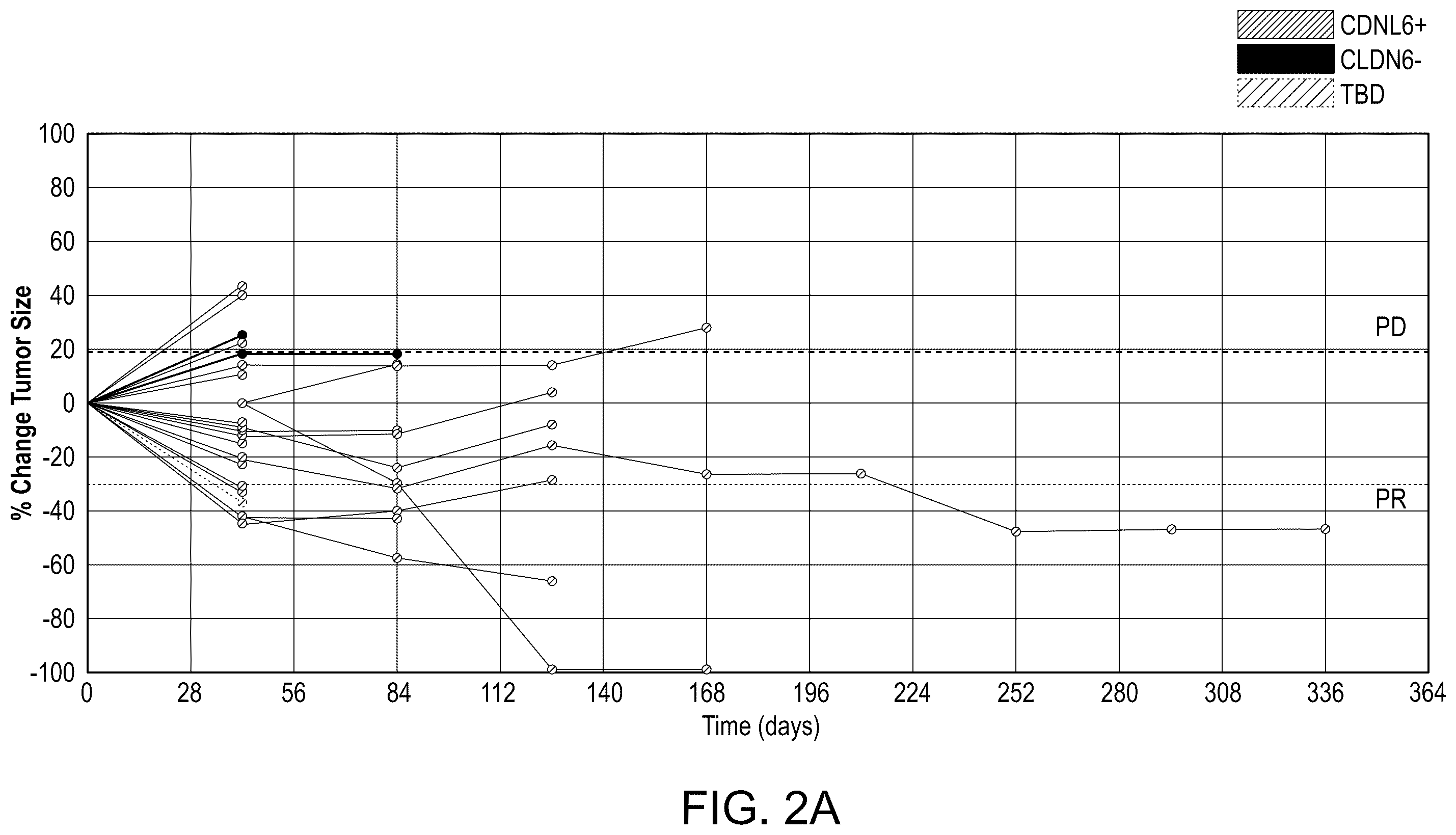 Patent US12403202 Figure 3 – Dosage of claudin-6 conjugates for cancer treatment