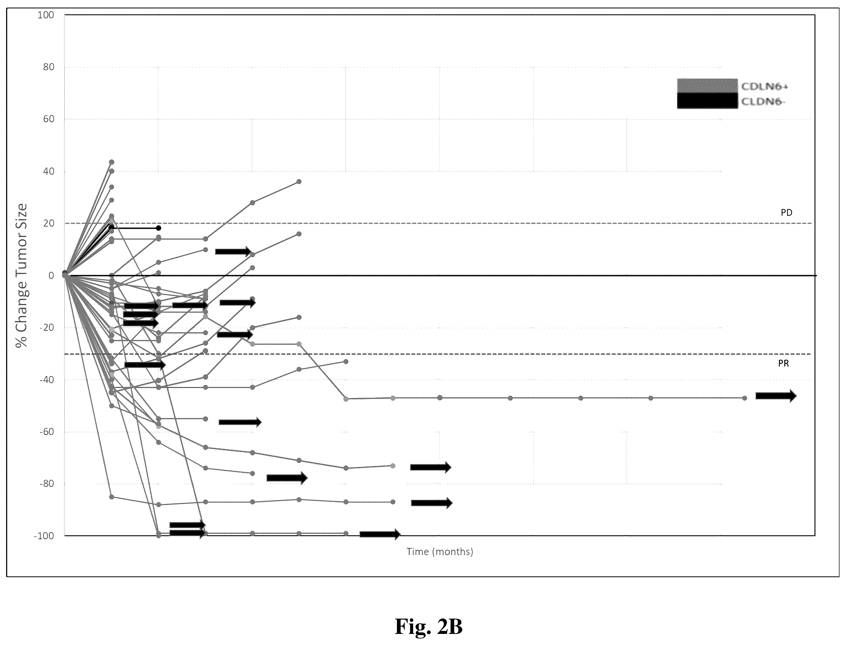 Patent US12403202 Figure 4 – Dosage of claudin-6 conjugates for cancer treatment