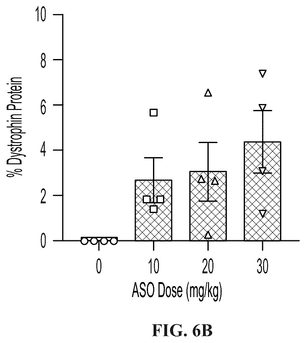 Patent US12403203 Figure 8 – Muscle targeting complexes and uses thereof for treating dystrophinopathies