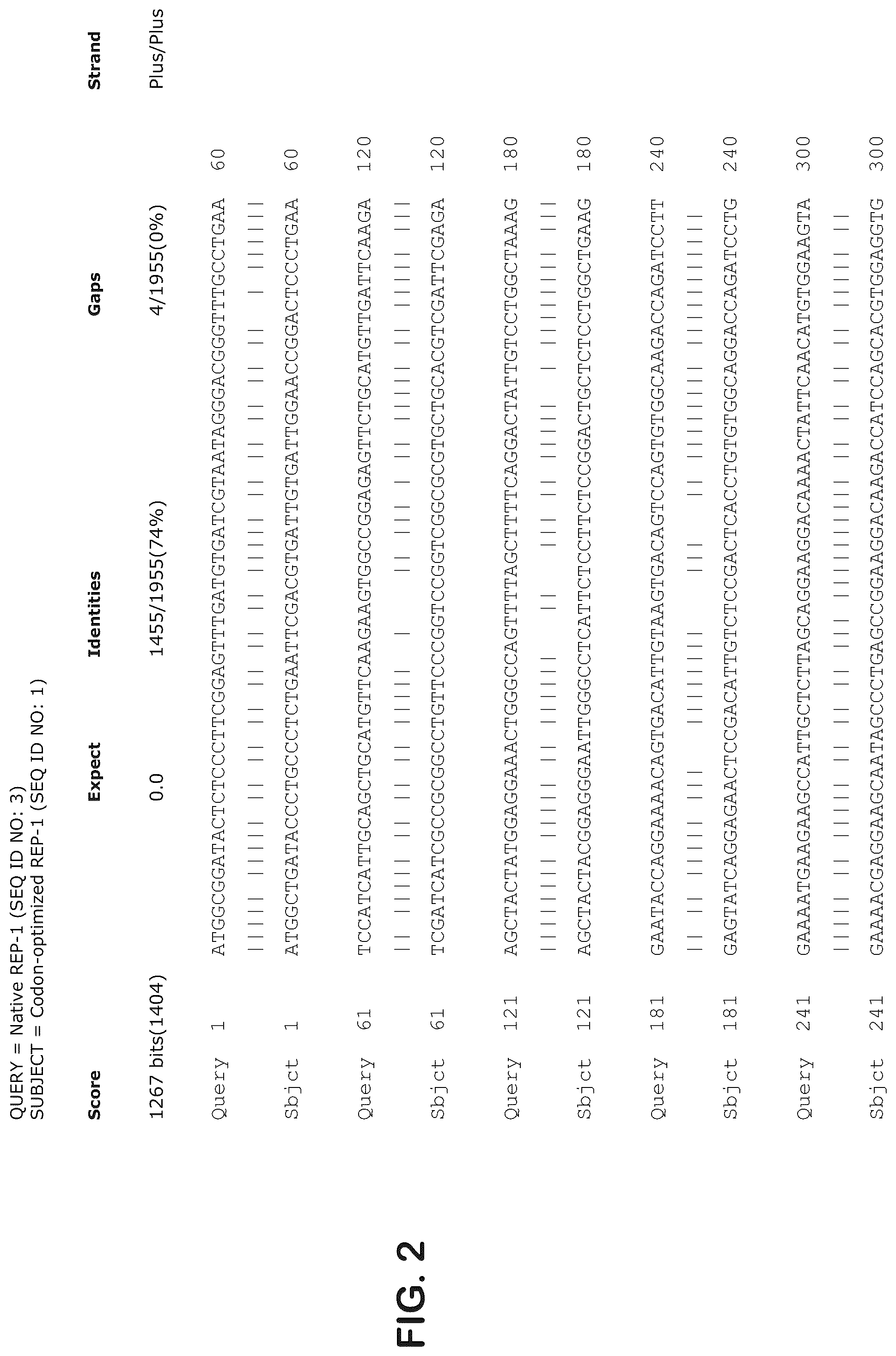 Patent US12403204 Figure 2 – Gene therapy for ocular disorders