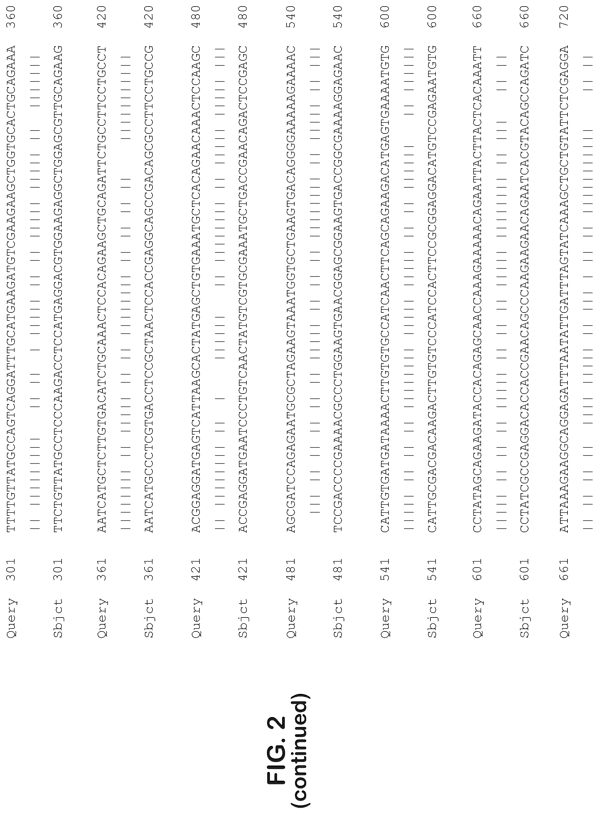 Patent US12403204 Figure 3 – Gene therapy for ocular disorders