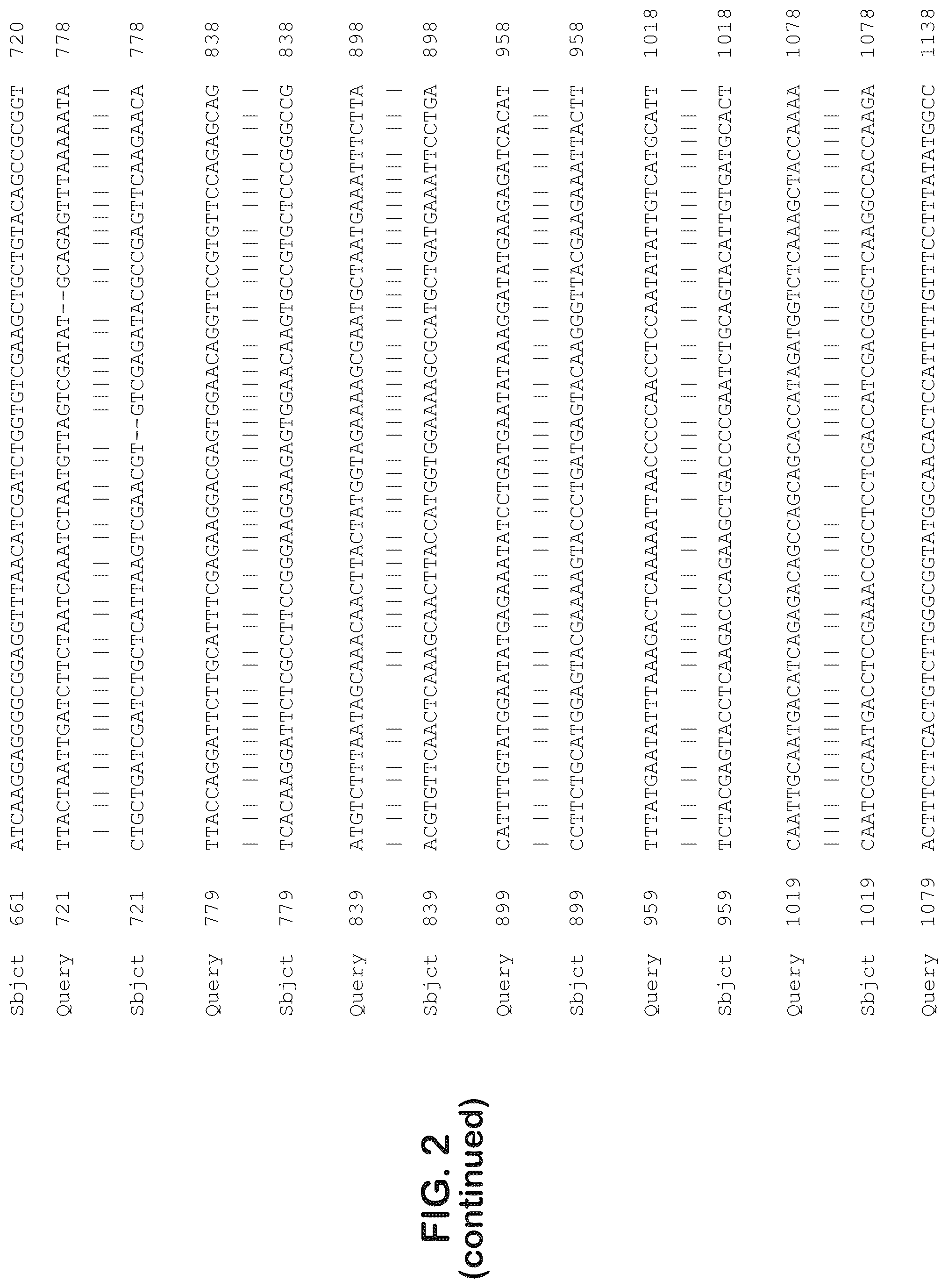Patent US12403204 Figure 4 – Gene therapy for ocular disorders