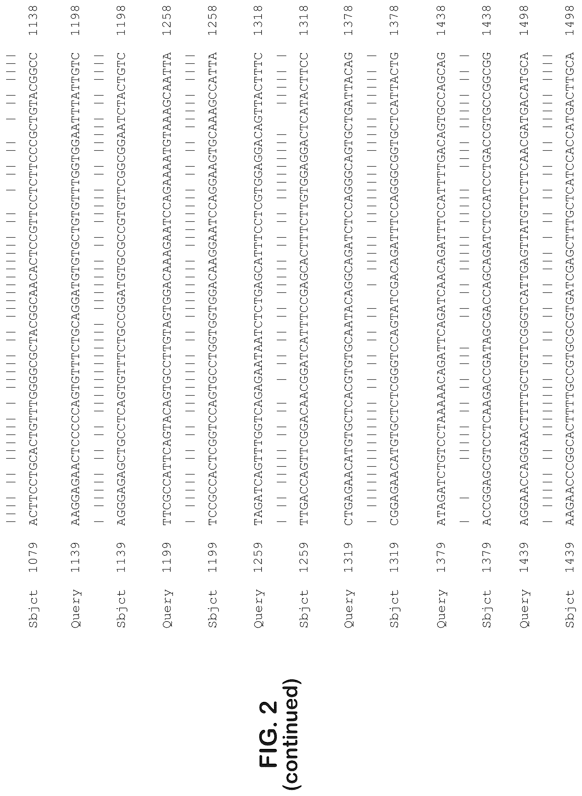 Patent US12403204 Figure 5 – Gene therapy for ocular disorders