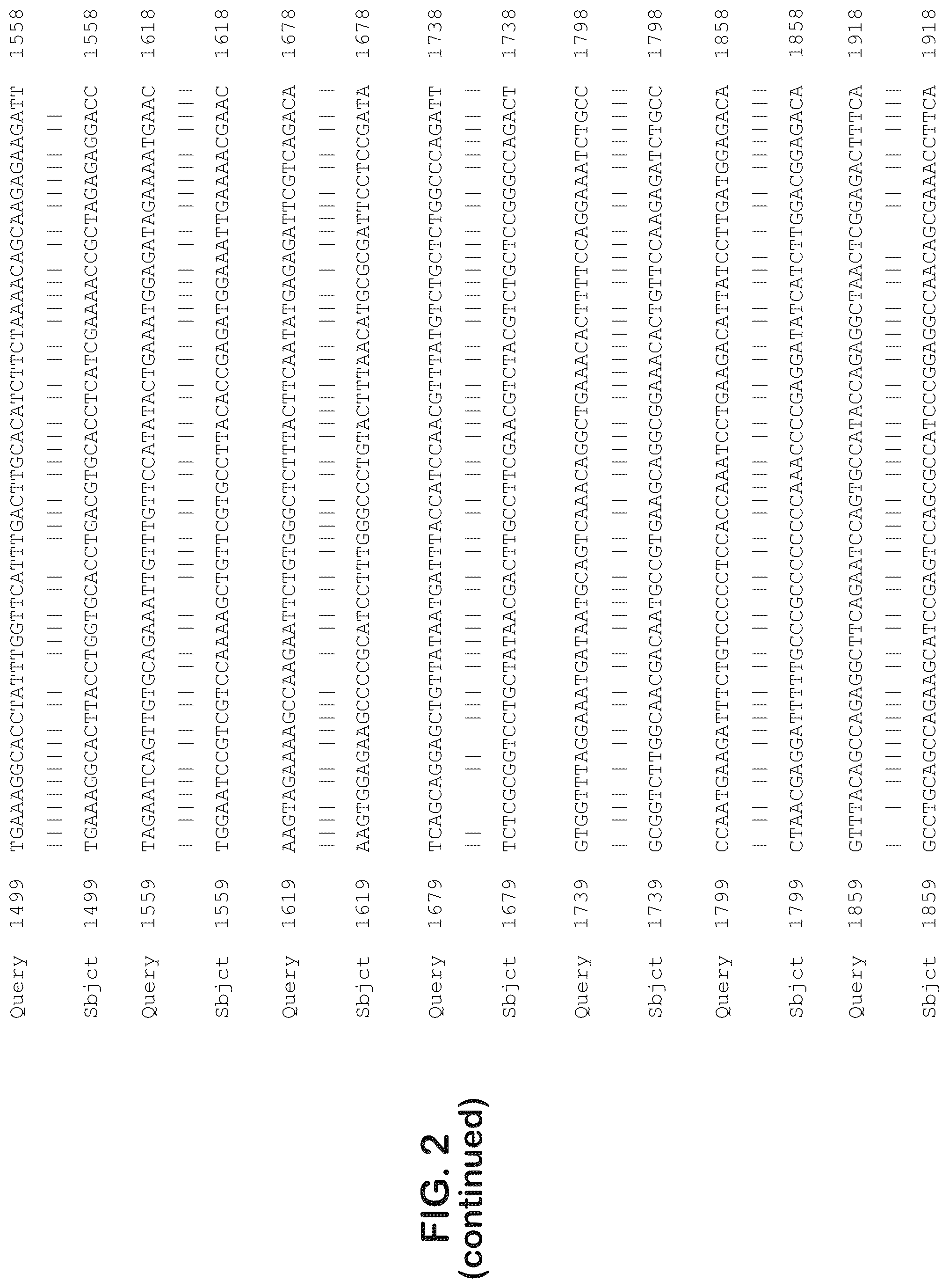 Patent US12403204 Figure 6 – Gene therapy for ocular disorders