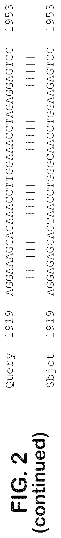 Patent US12403204 Figure 7 – Gene therapy for ocular disorders