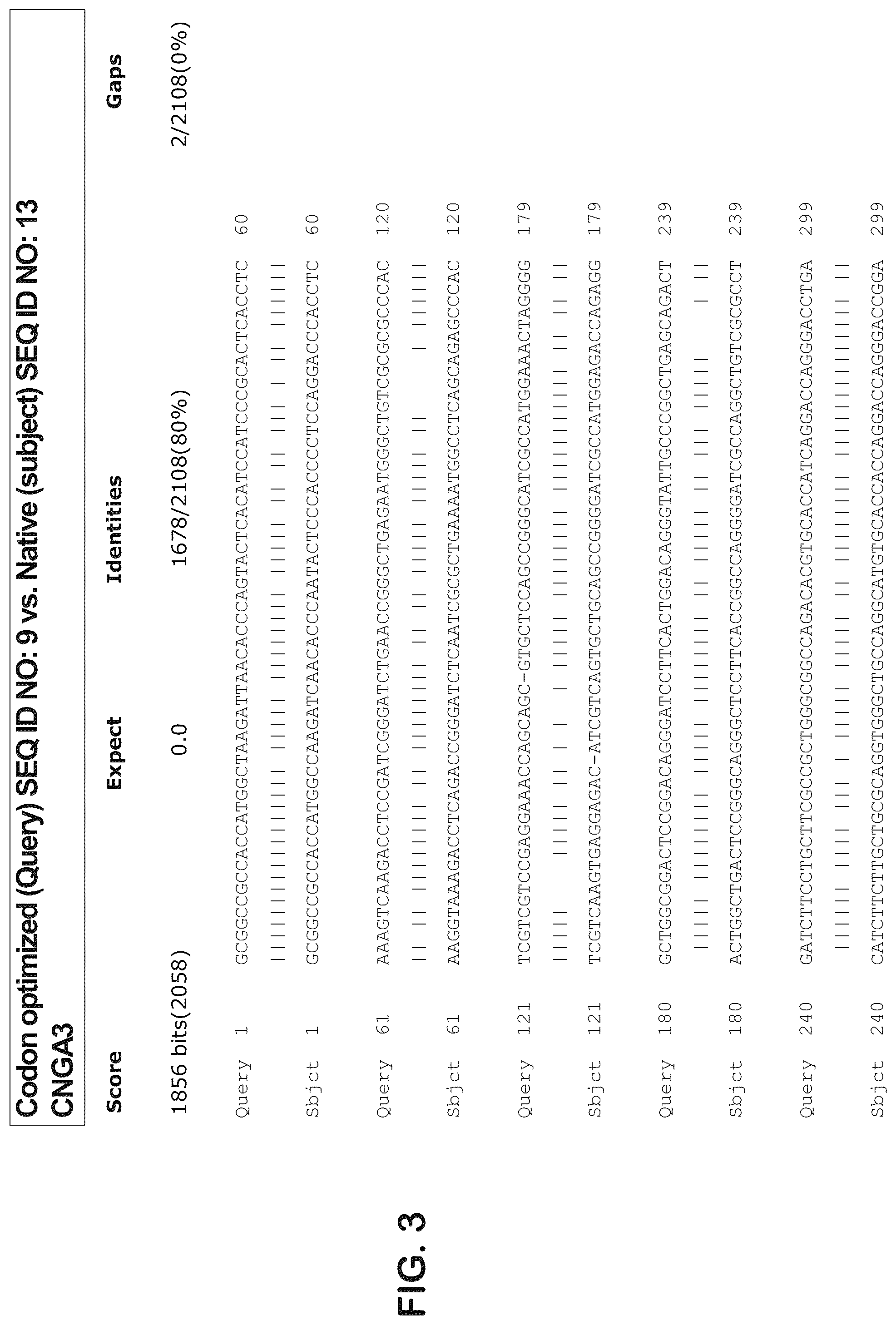 Patent US12403204 Figure 8 – Gene therapy for ocular disorders