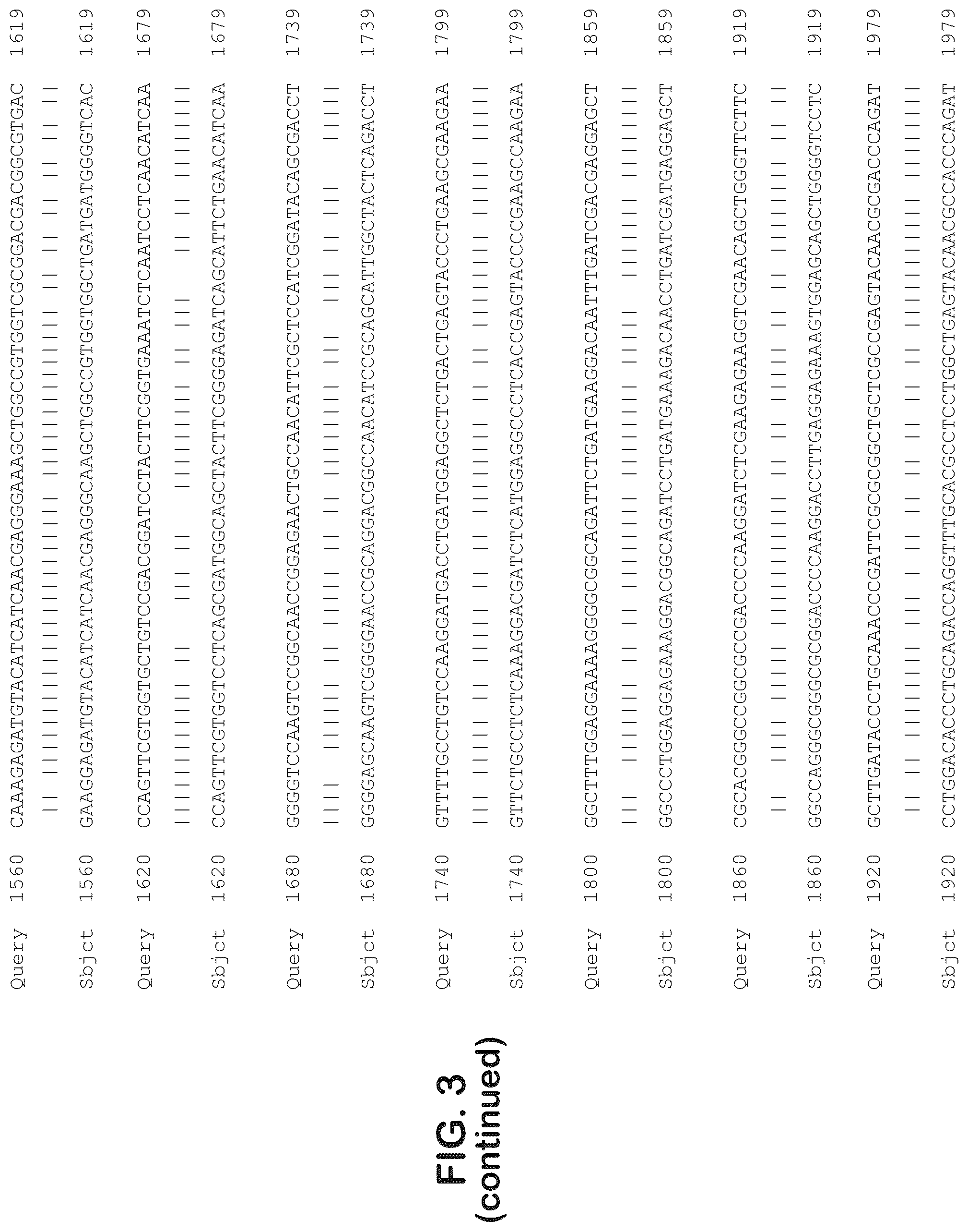 Patent US12403204 Figure 12 – Gene therapy for ocular disorders