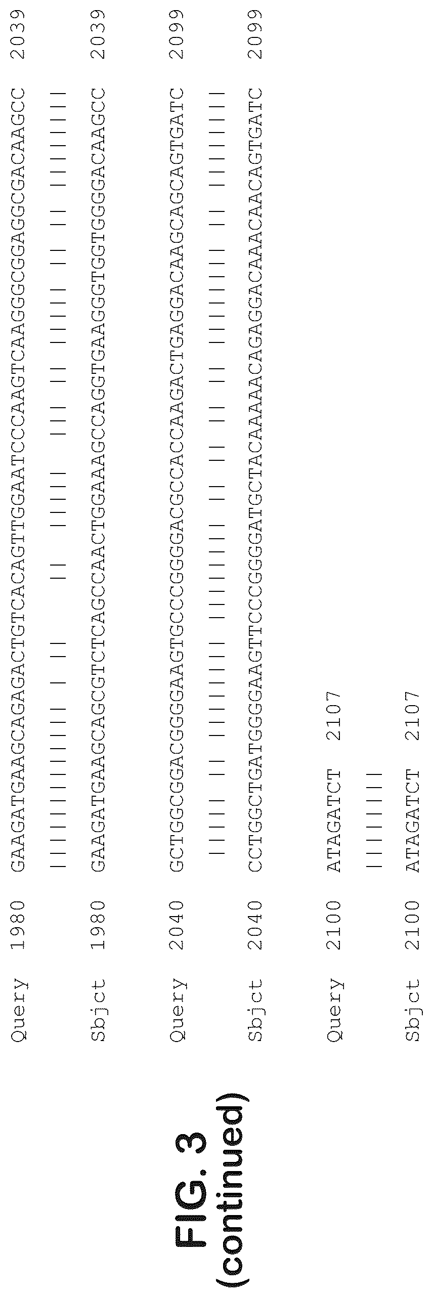 Patent US12403204 Figure 13 – Gene therapy for ocular disorders