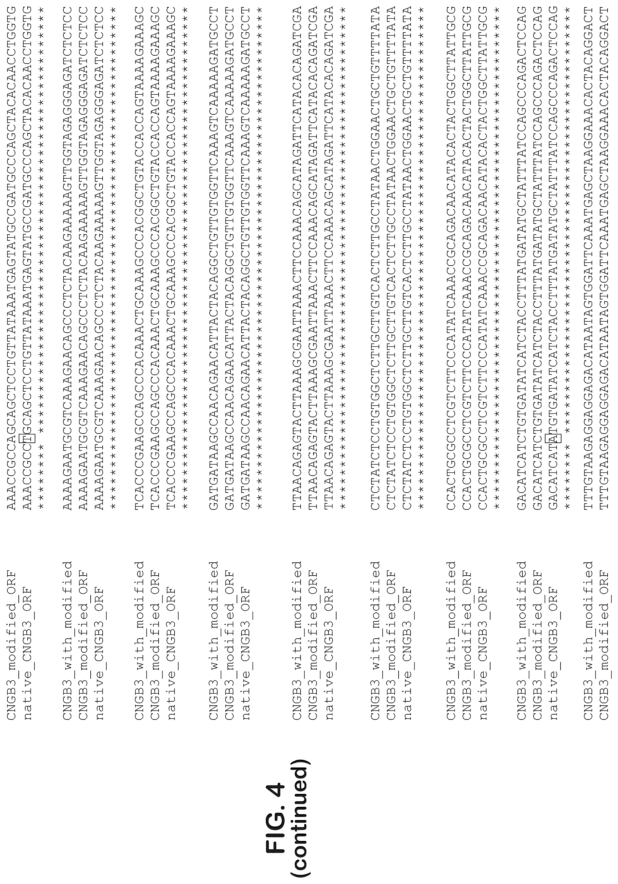 Patent US12403204 Figure 15 – Gene therapy for ocular disorders