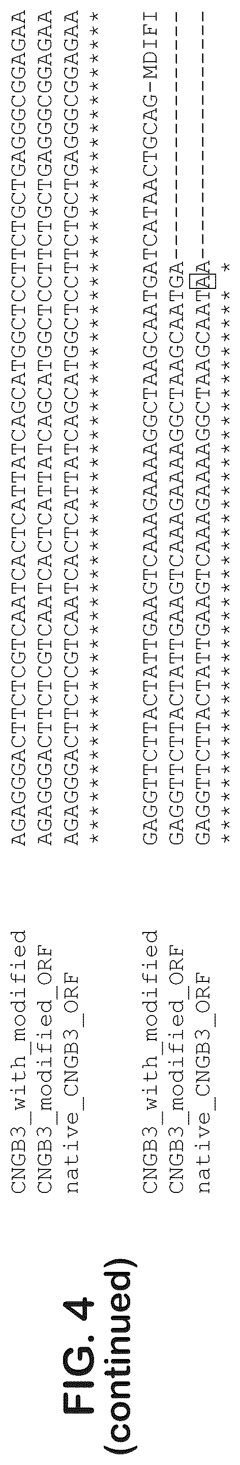 Patent US12403204 Figure 19 – Gene therapy for ocular disorders