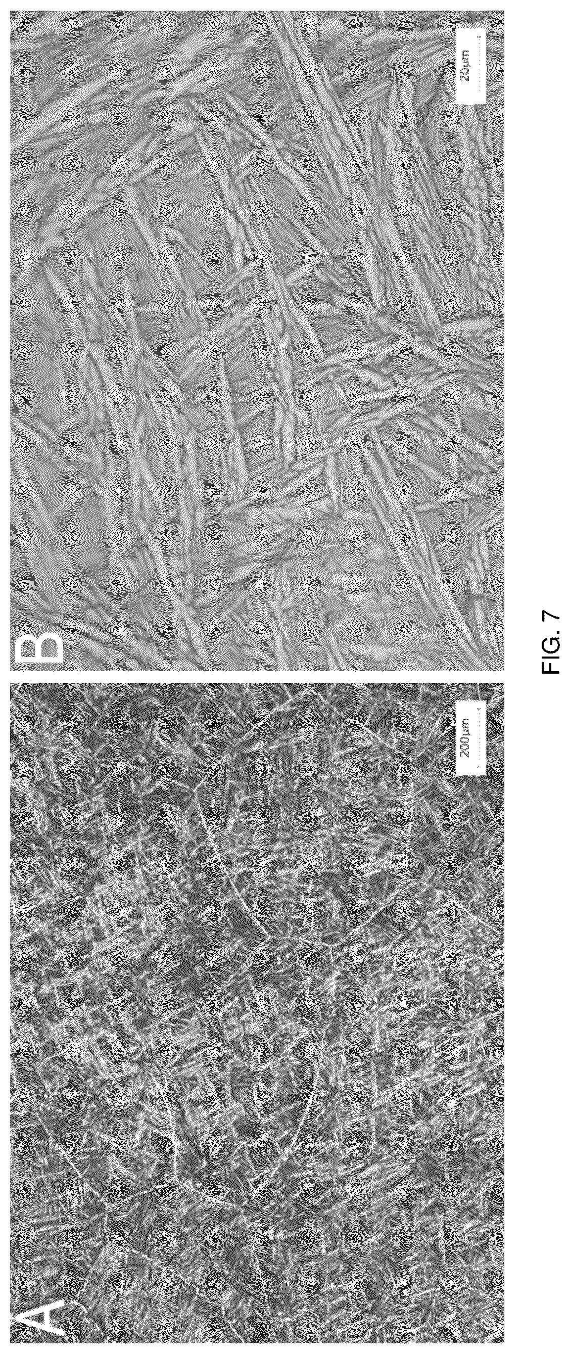 Patent US12403215 Figure 5 – Oxide layer-containing zirconium-niobium alloy shoulder joint prosthesis system and preparation method