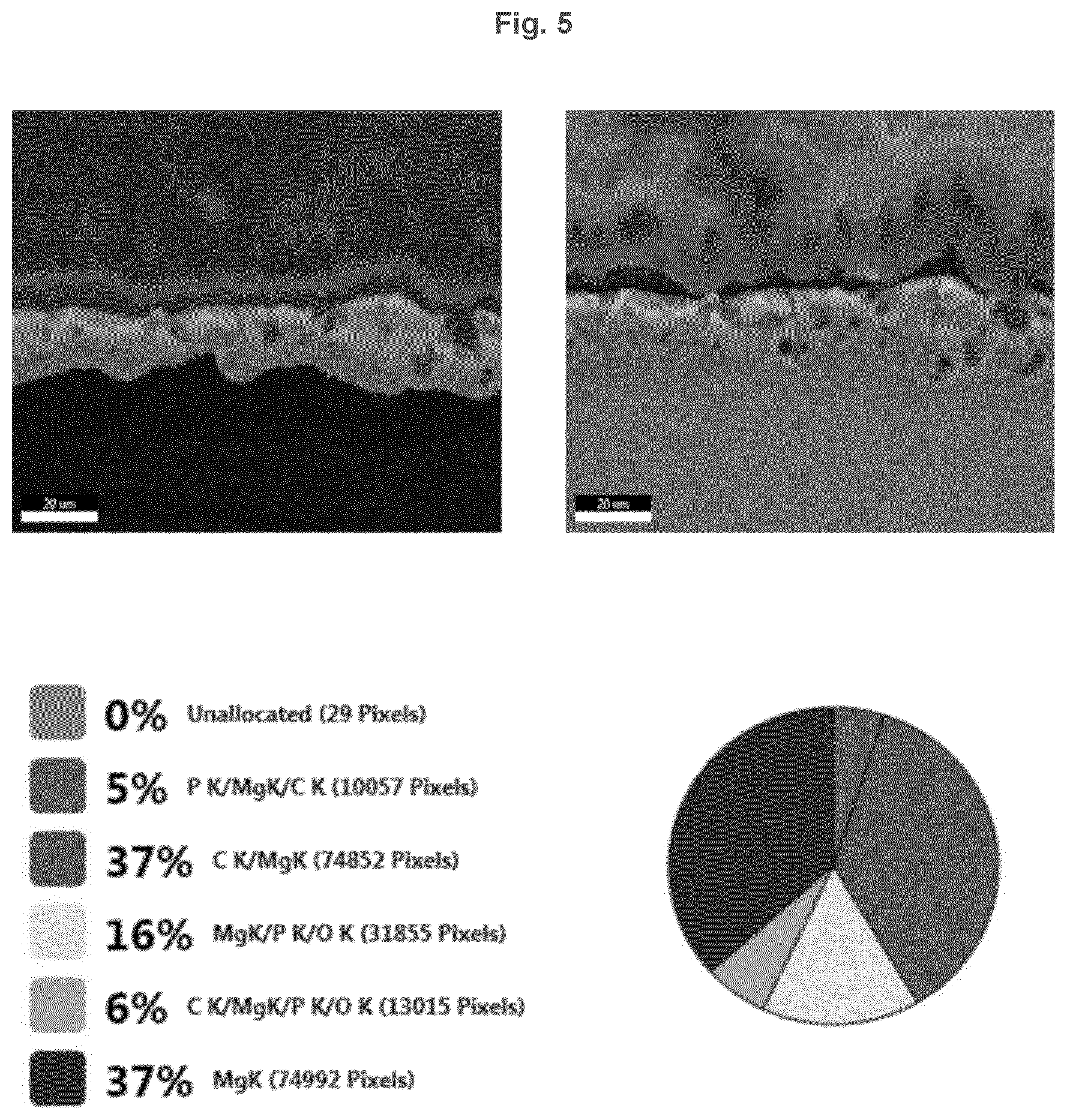 Patent US12403217 Figure 5 – Biodegradeable implant comprising coated metal alloy product