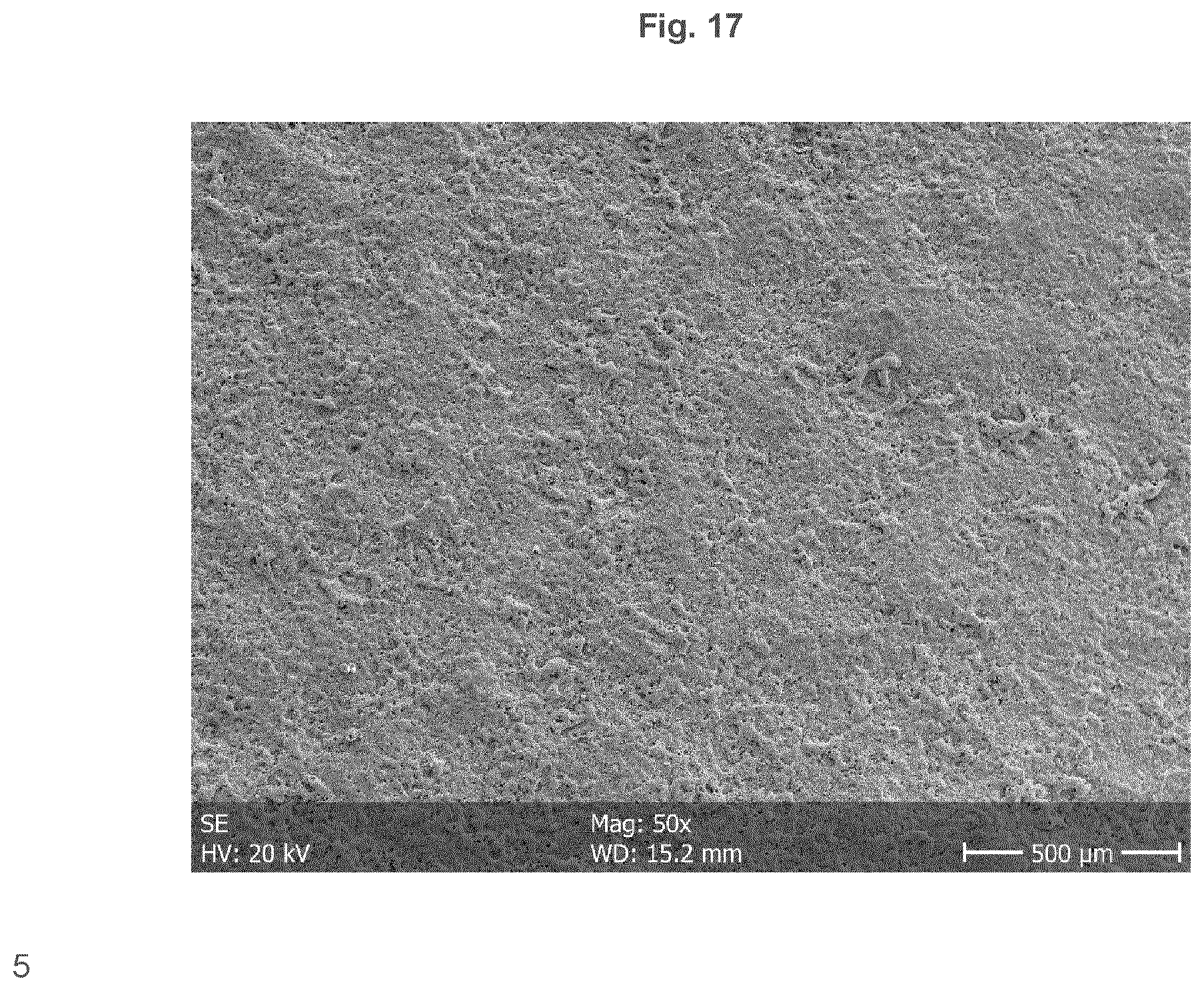 Patent US12403217 Figure 17 – Biodegradeable implant comprising coated metal alloy product