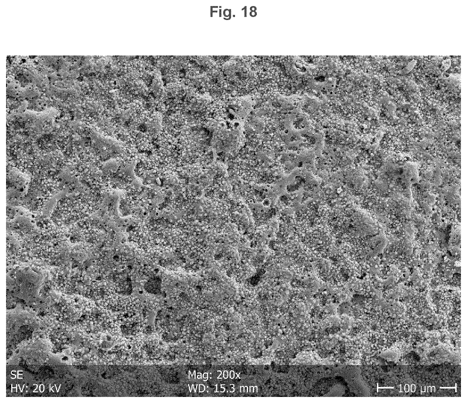 Patent US12403217 Figure 18 – Biodegradeable implant comprising coated metal alloy product