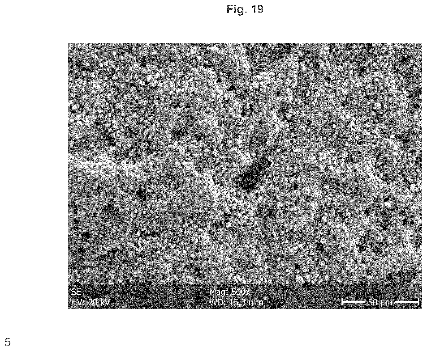 Patent US12403217 Figure 19 – Biodegradeable implant comprising coated metal alloy product