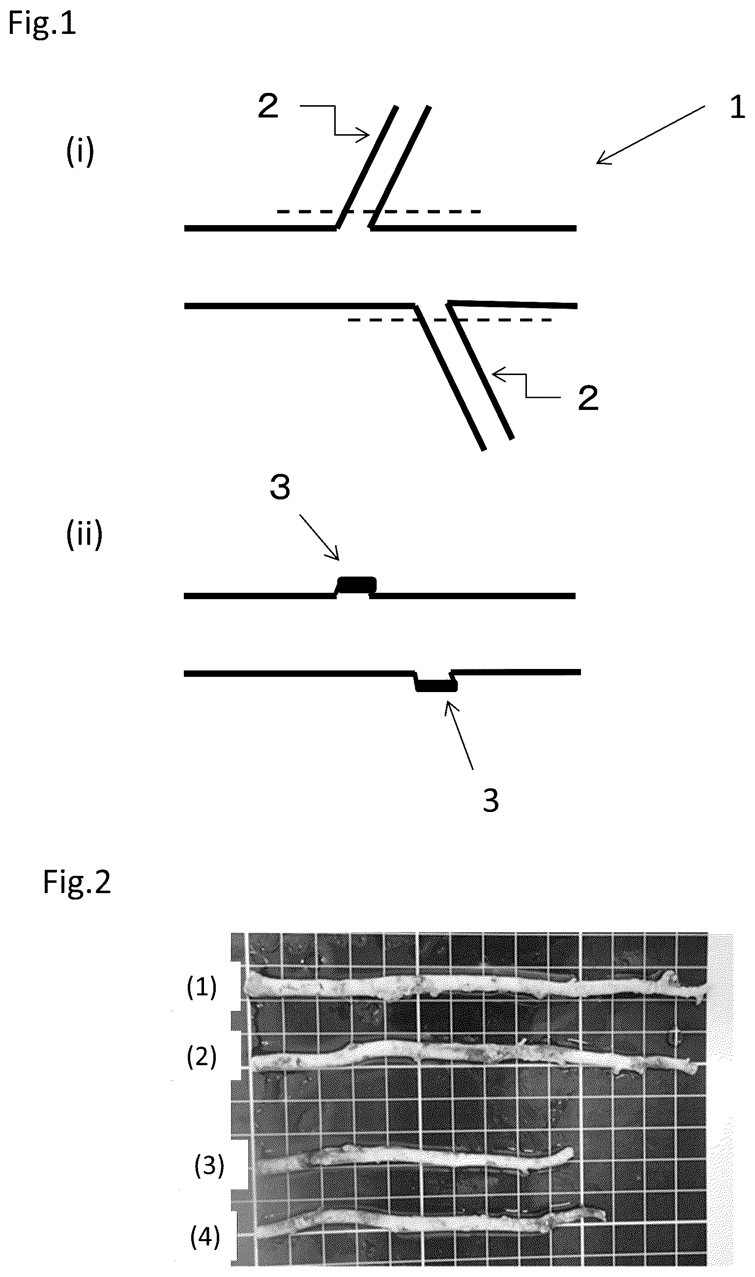 Patent US12403219 Figure 1 – Method for producing decellularized material for transplantation and graft composition consisting of biocompatible material including said material