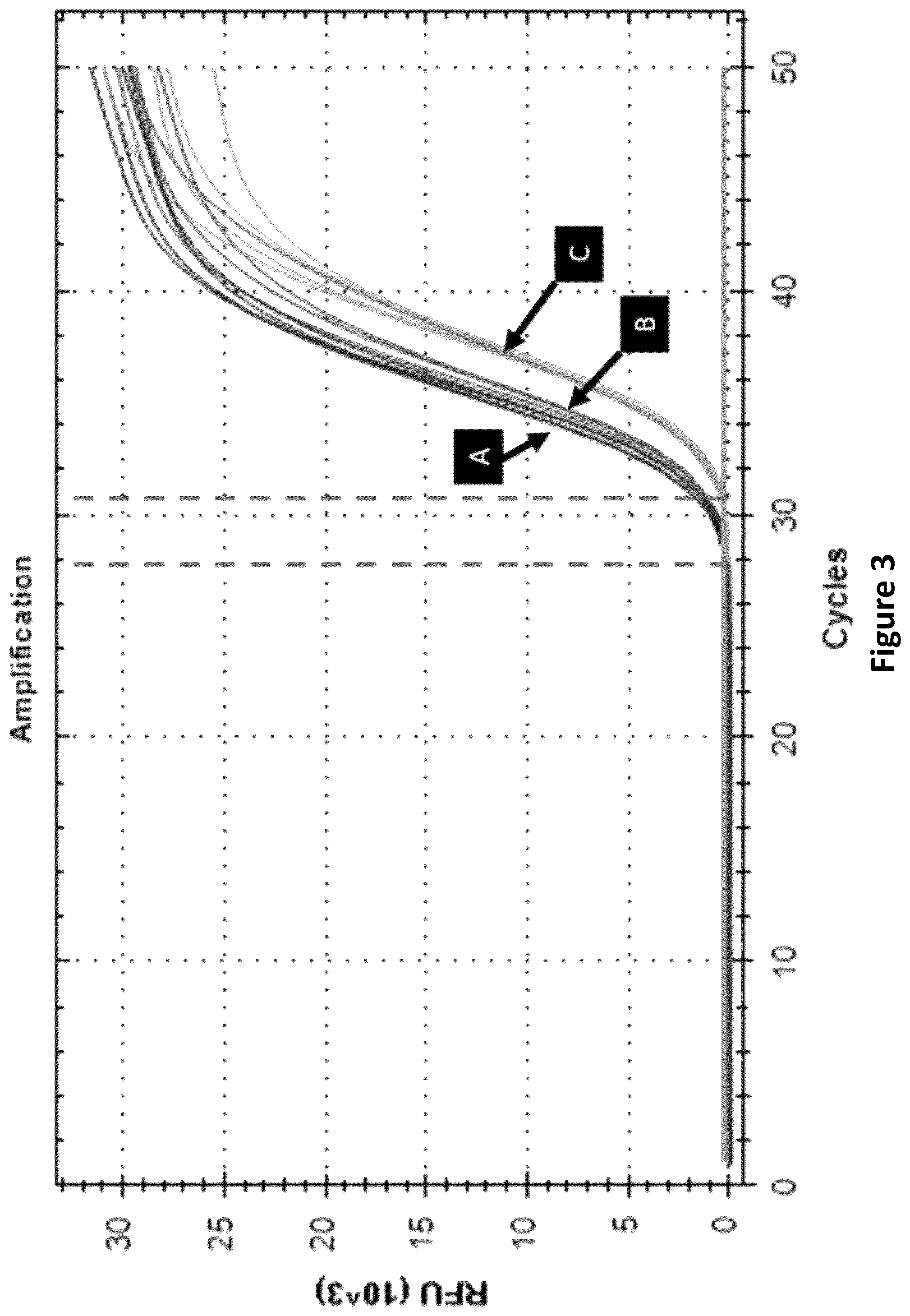 Patent US12403221 Figure 3 – Preparation of composite gels, polymer scaffolds, aggregates and films comprising soluble cross-linked chitosan and uses thereof