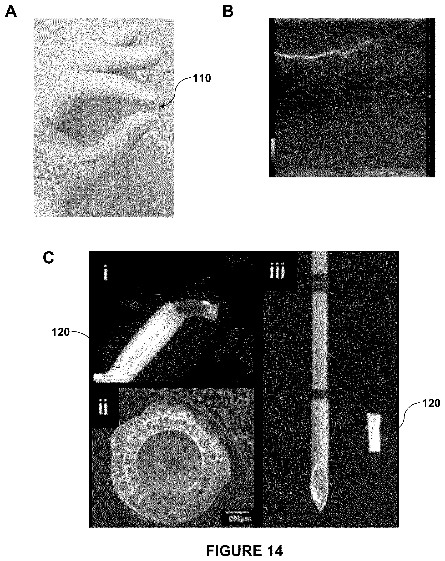 Patent US12403222 Figure 9 – Implantable device and a method for implanting said device in a subject