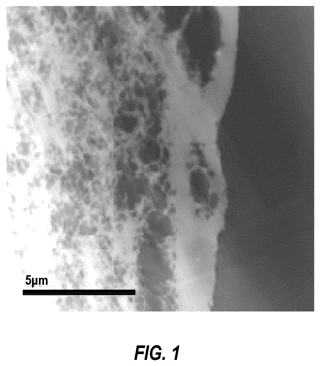 Patent US12403225 — Fiber spinning processes for applying metal nanoparticles to polymer devices — Figure 1
