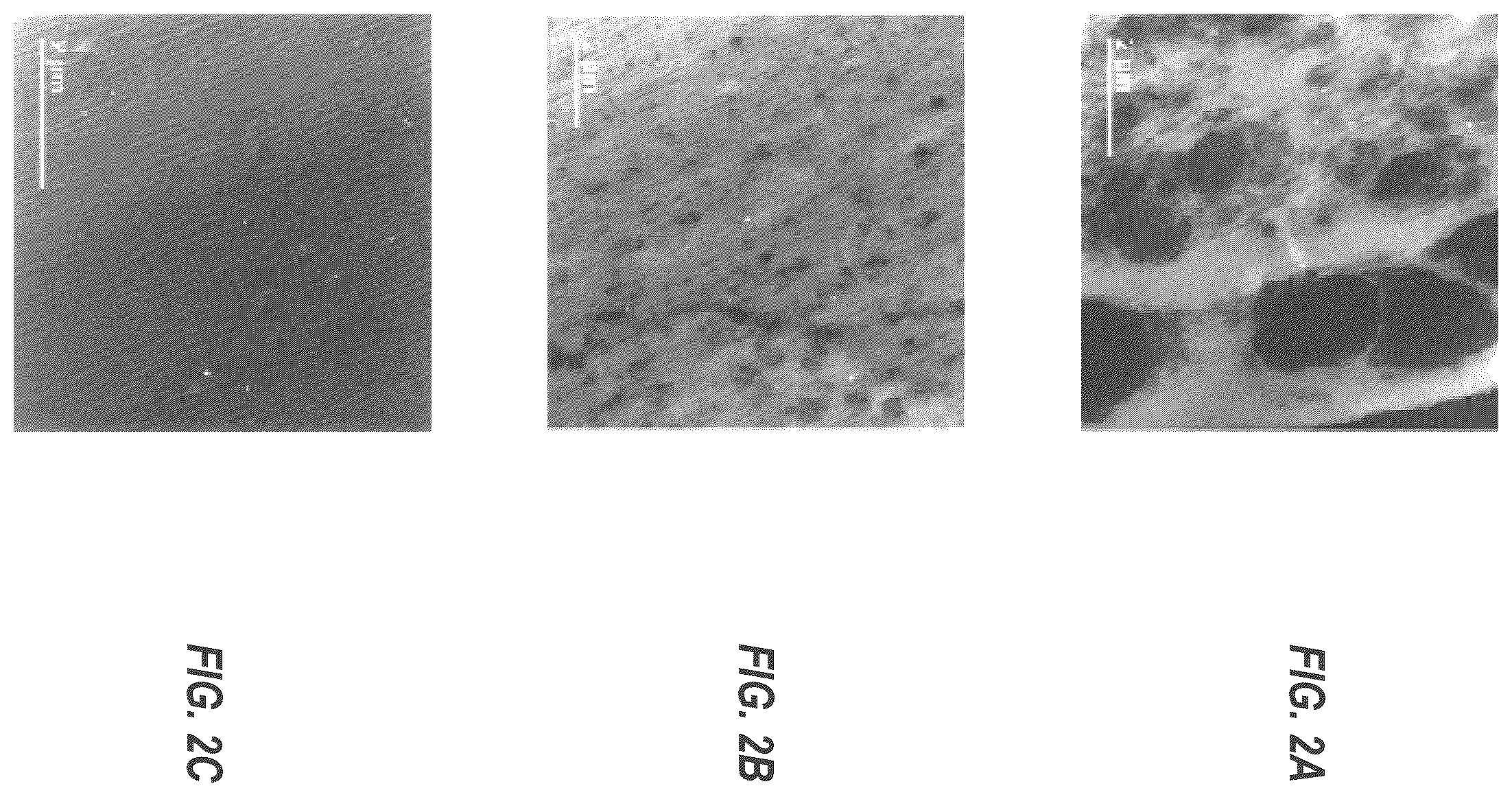 Patent US12403225 Figure 2 – Fiber spinning processes for applying metal nanoparticles to polymer devices