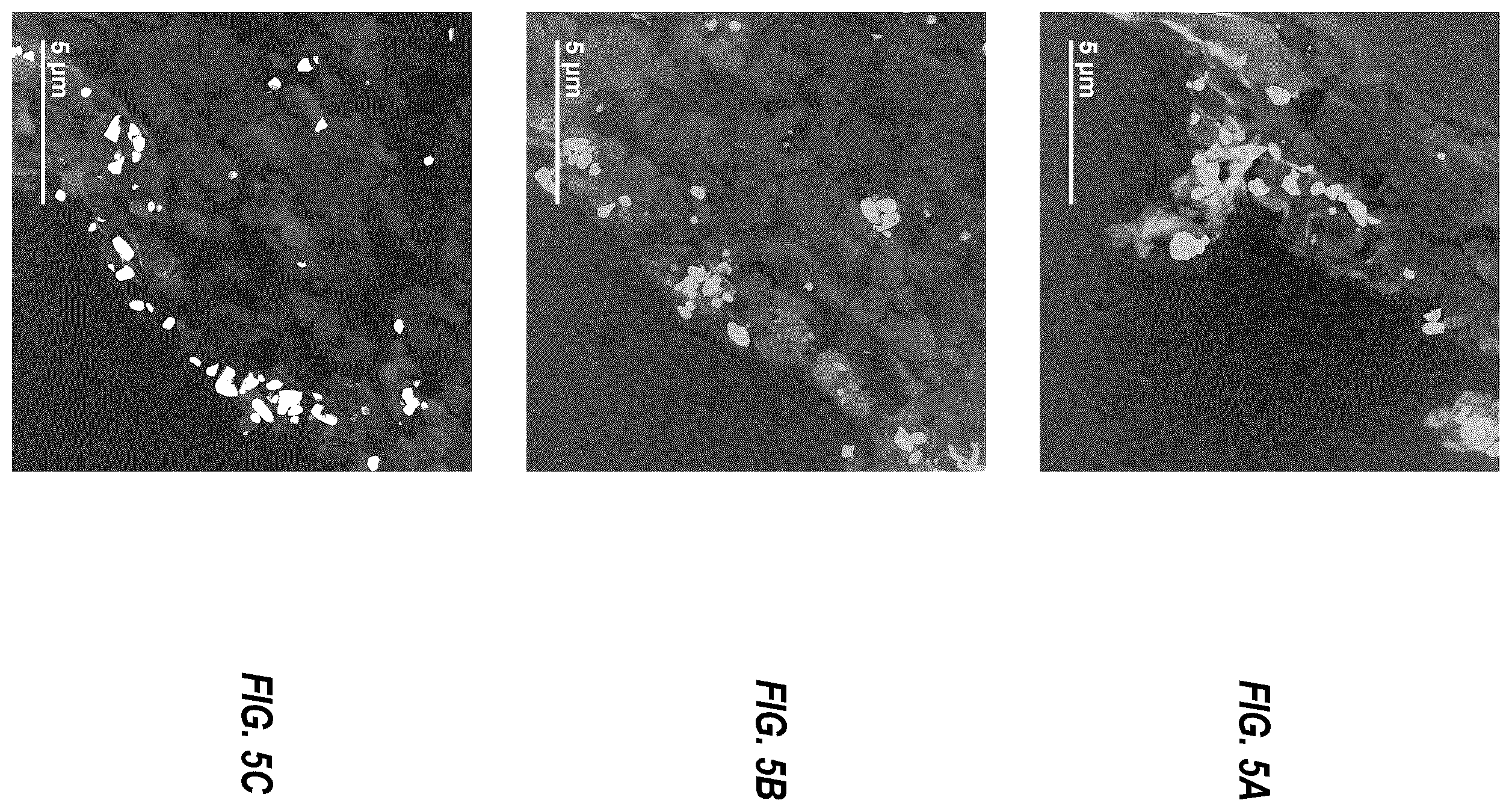 Patent US12403225 Figure 5 – Fiber spinning processes for applying metal nanoparticles to polymer devices