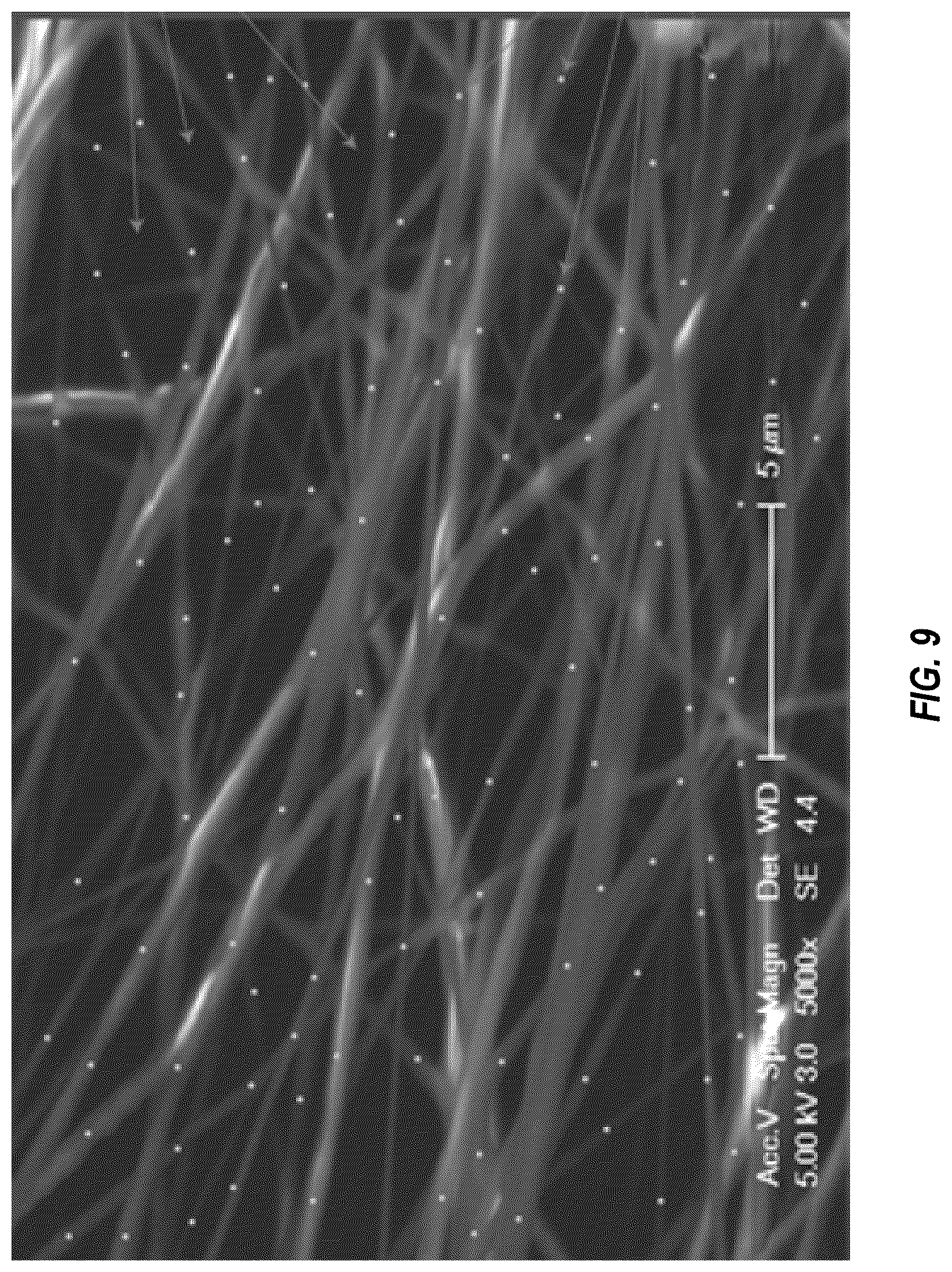 Patent US12403225 Figure 9 – Fiber spinning processes for applying metal nanoparticles to polymer devices