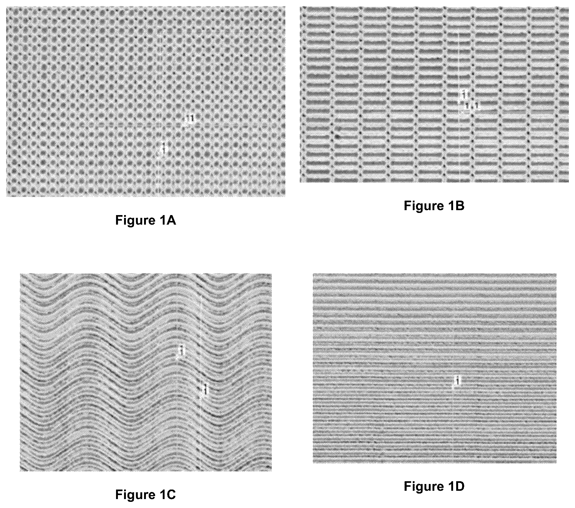 Patent US12403300 Figure 1 – Electrode for a medical device