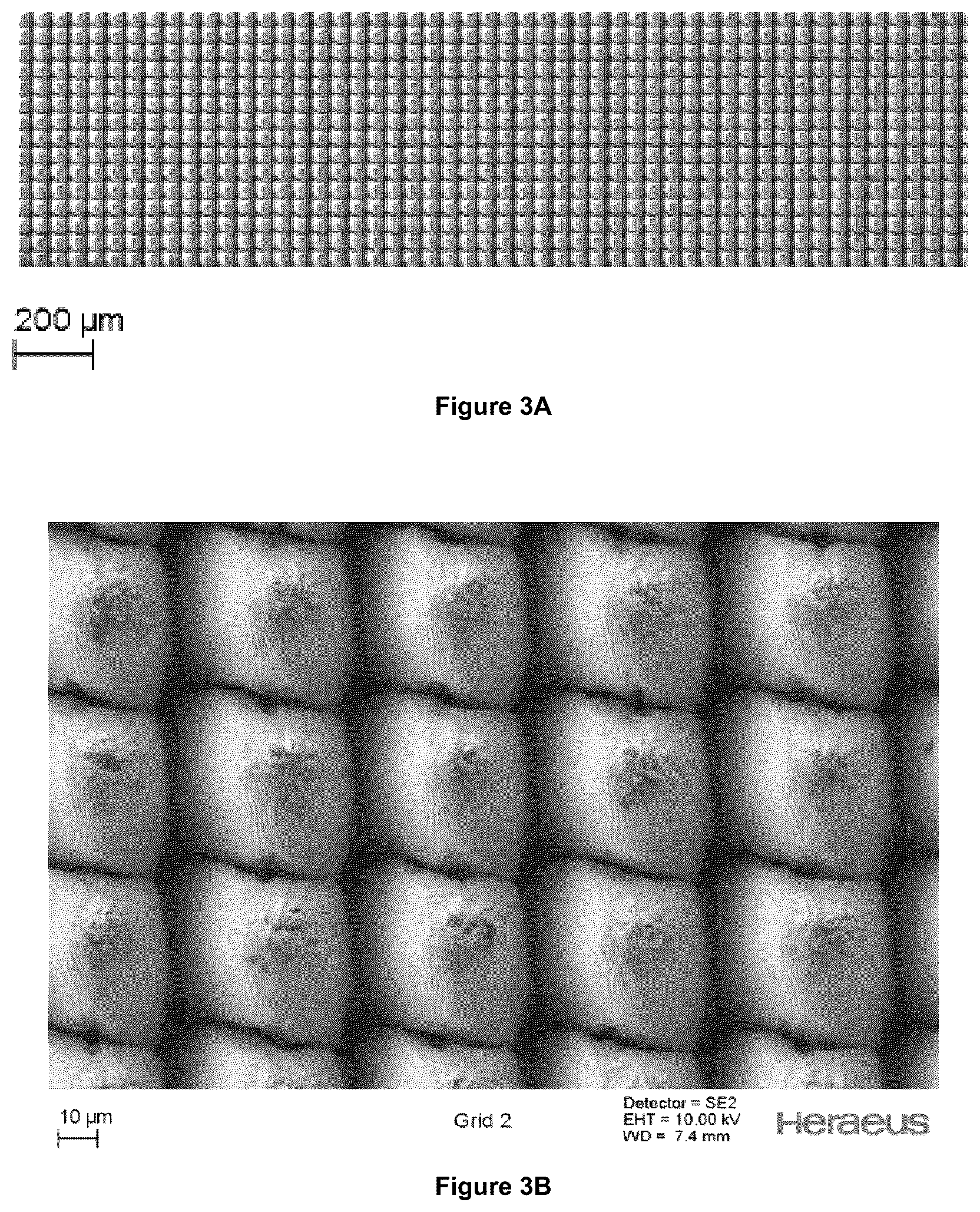 Patent US12403300 Figure 3 – Electrode for a medical device