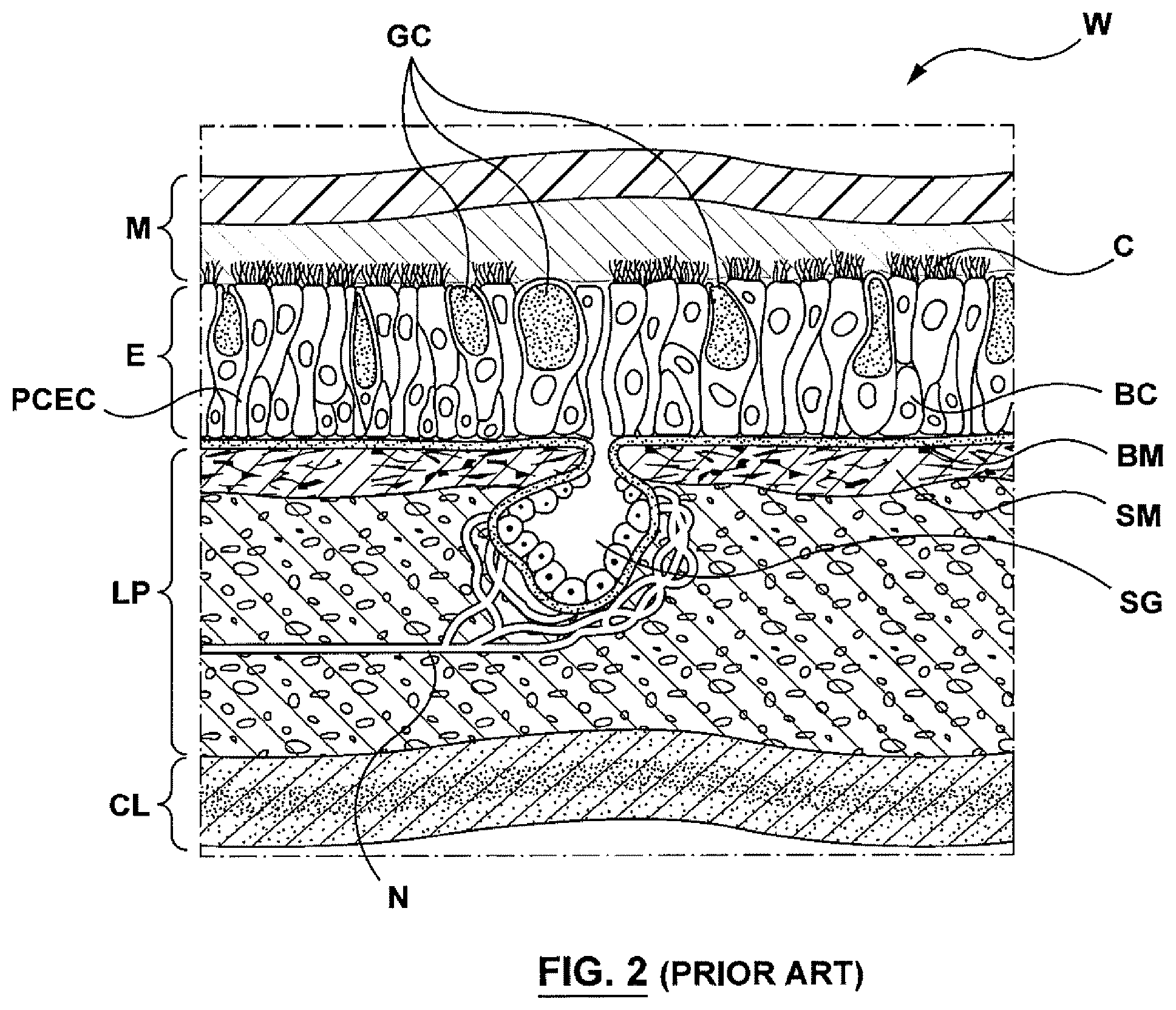 Patent US12403305 Figure 2 – Immunostimulation in the treatment of viral infection
