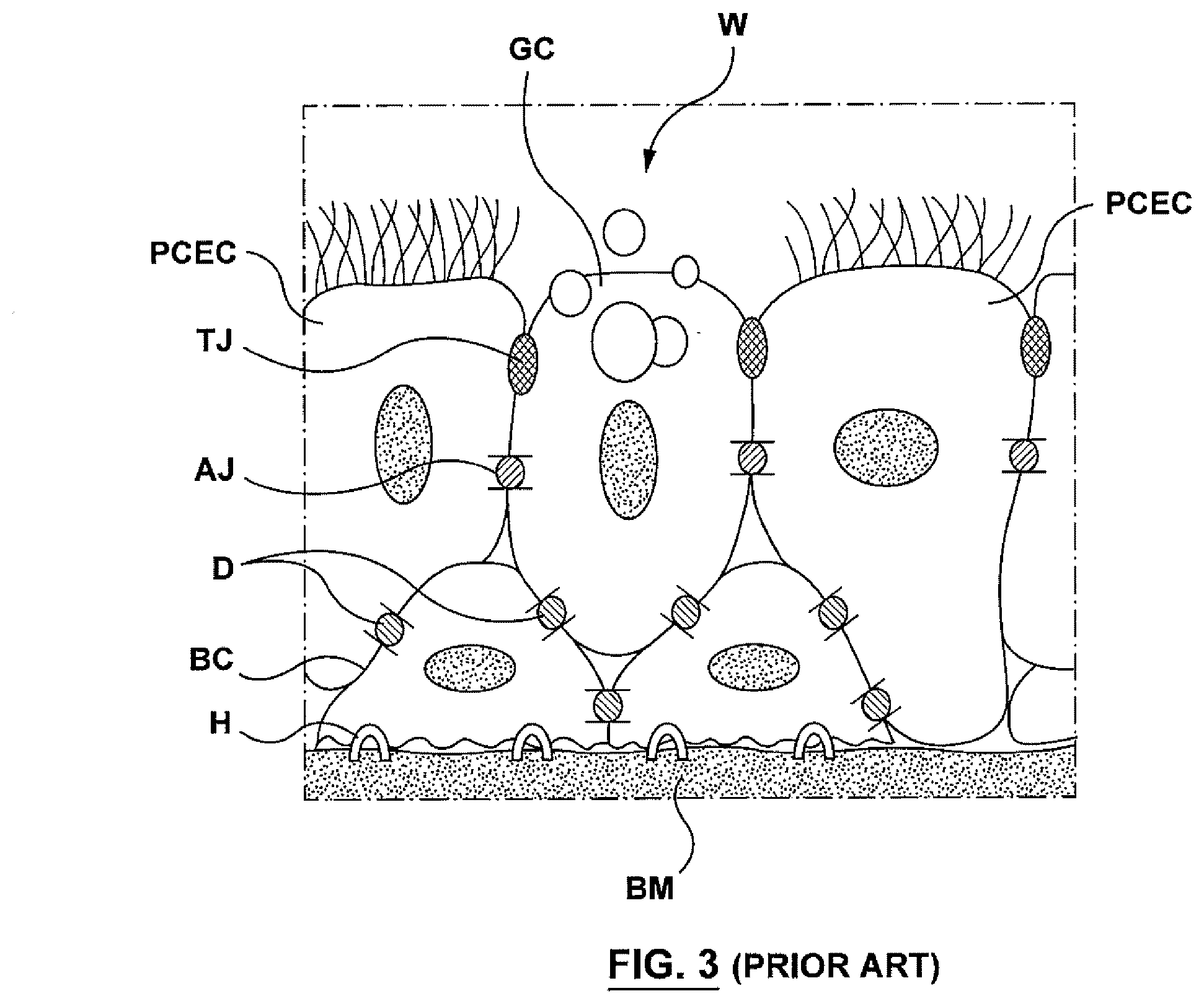 Patent US12403305 Figure 3 – Immunostimulation in the treatment of viral infection