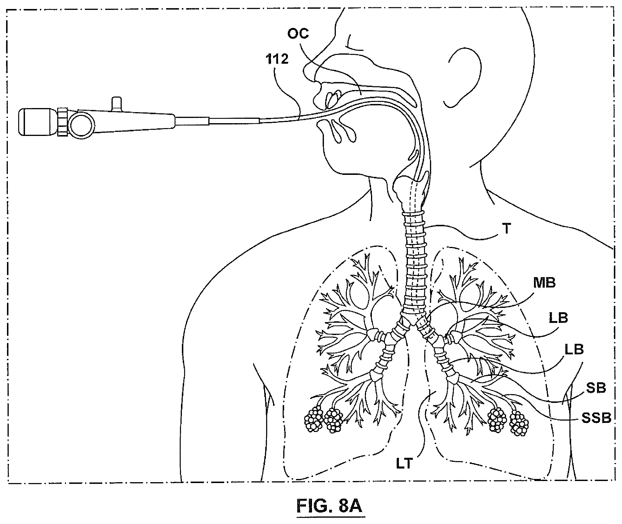 Patent US12403305 Figure 8 – Immunostimulation in the treatment of viral infection