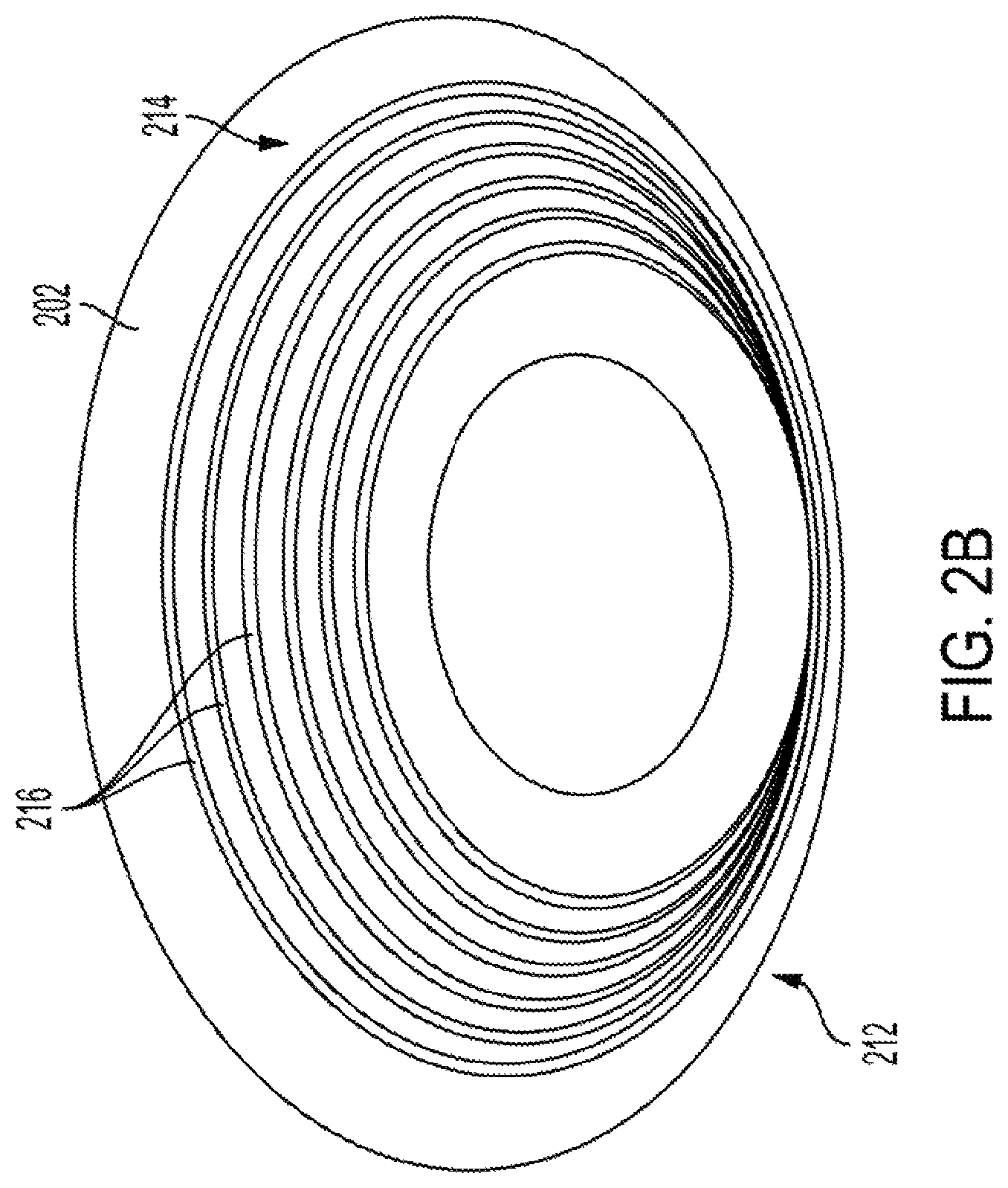 Patent US12403311 Figure 3 – System and method to induce epigenetic changes to the cells and tissue of the eye and orbit