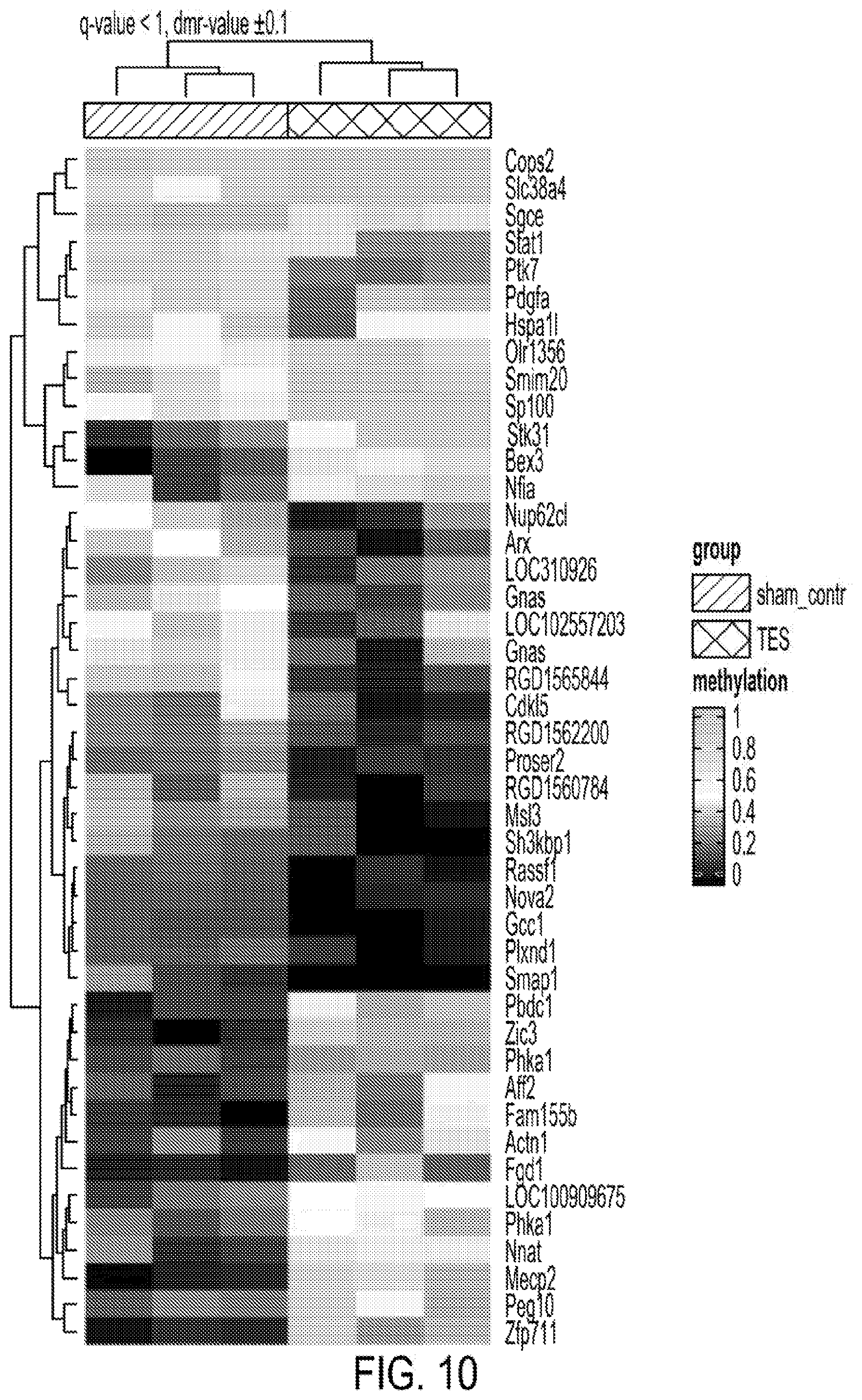 Patent US12403311 Figure 18 – System and method to induce epigenetic changes to the cells and tissue of the eye and orbit