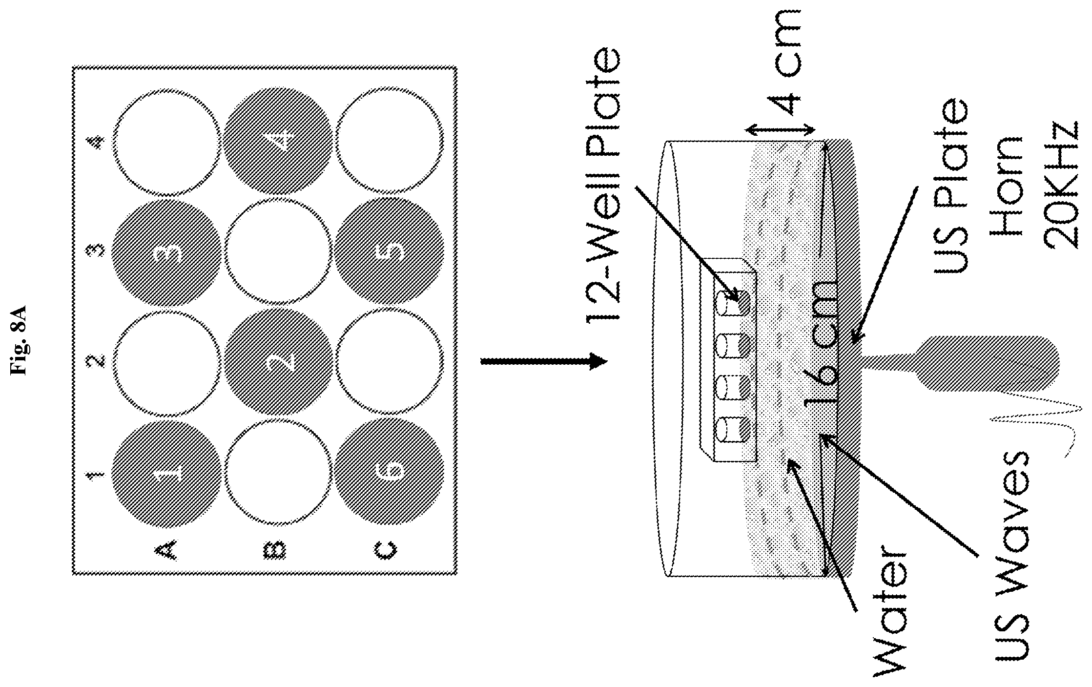Patent US12403334 Figure 8 – Low intensity ultrasound therapy