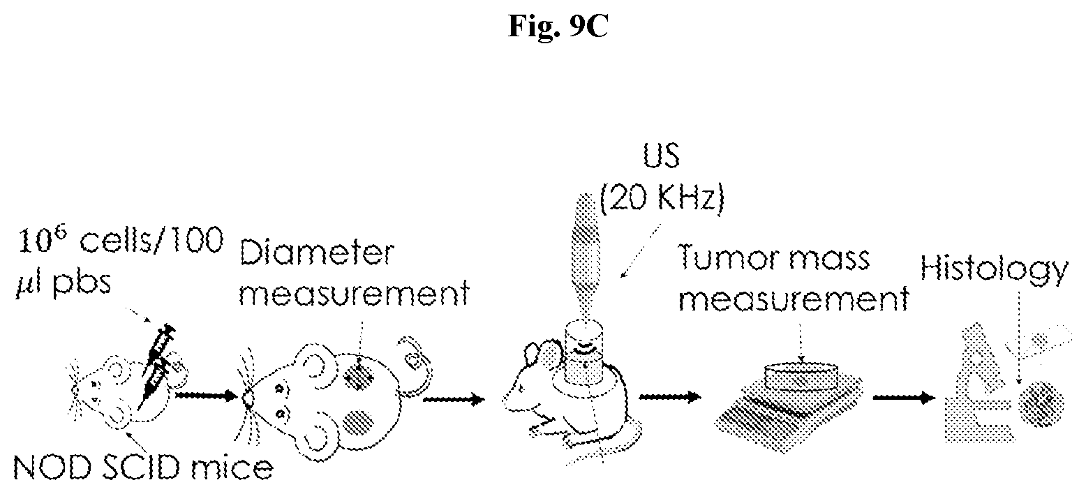 Patent US12403334 Figure 13 – Low intensity ultrasound therapy