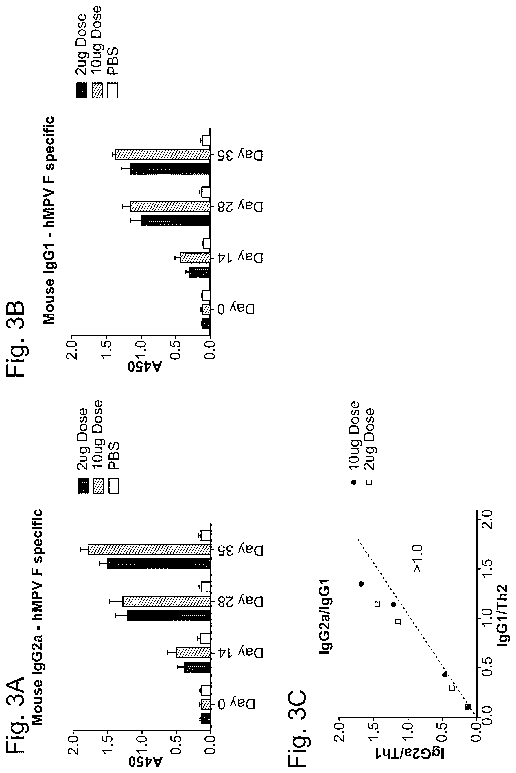 Patent US12403335 Figure 3 – Betacoronavirus MRNA vaccines